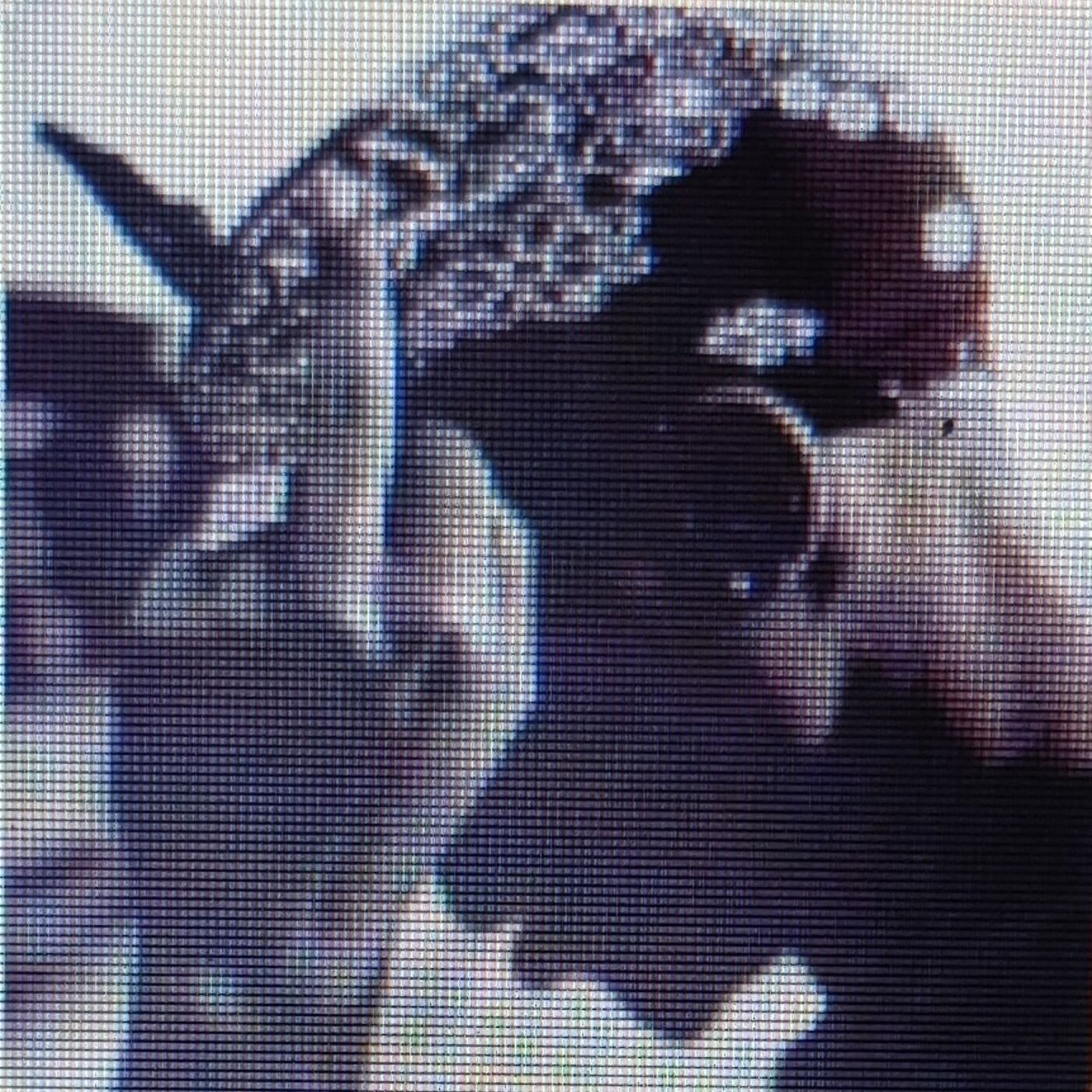 Tupac Podcast