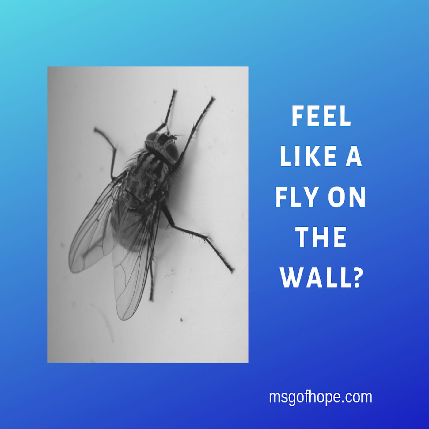 Feel Like A Fly On The Wall? - Episode #34
