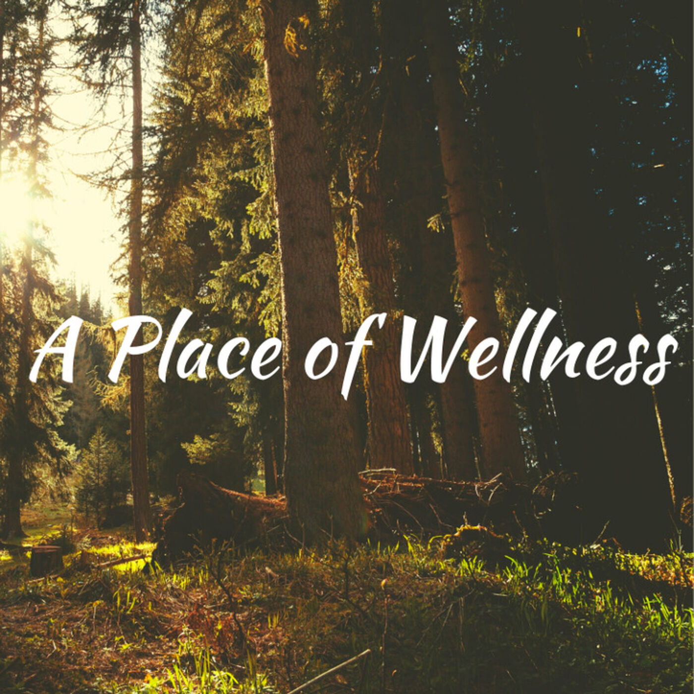 A Place of Wellness