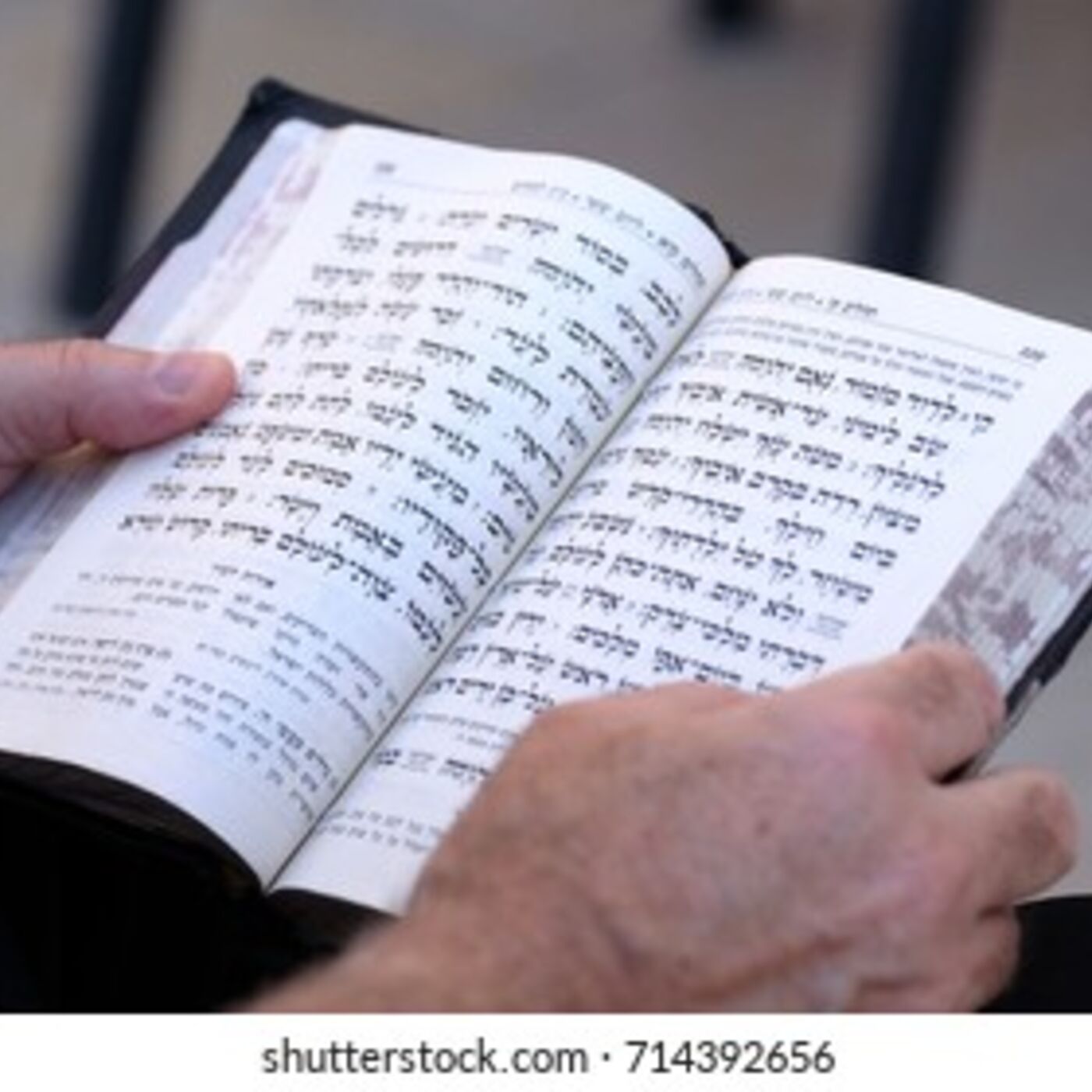 2711 Daily Torah Schmooze