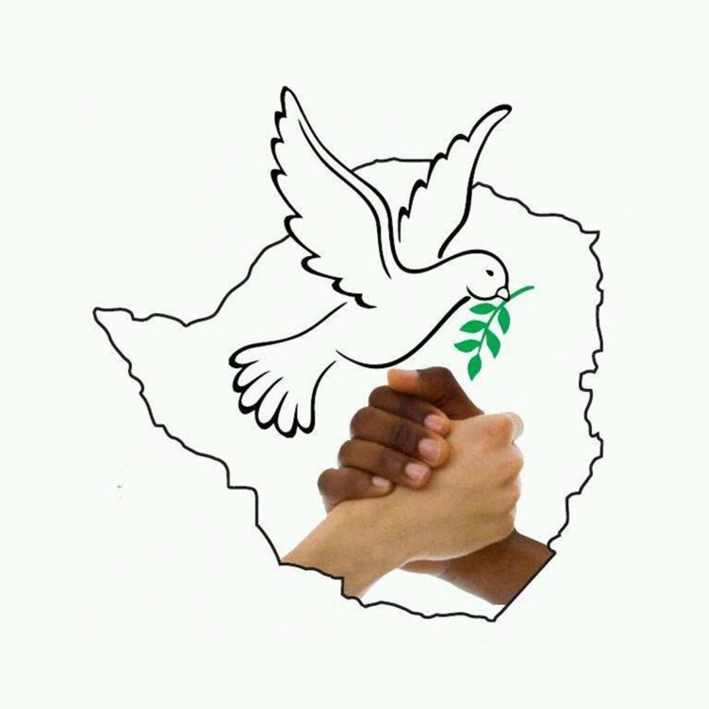 ZiNRA - Zimbabwe Renewal Podcast