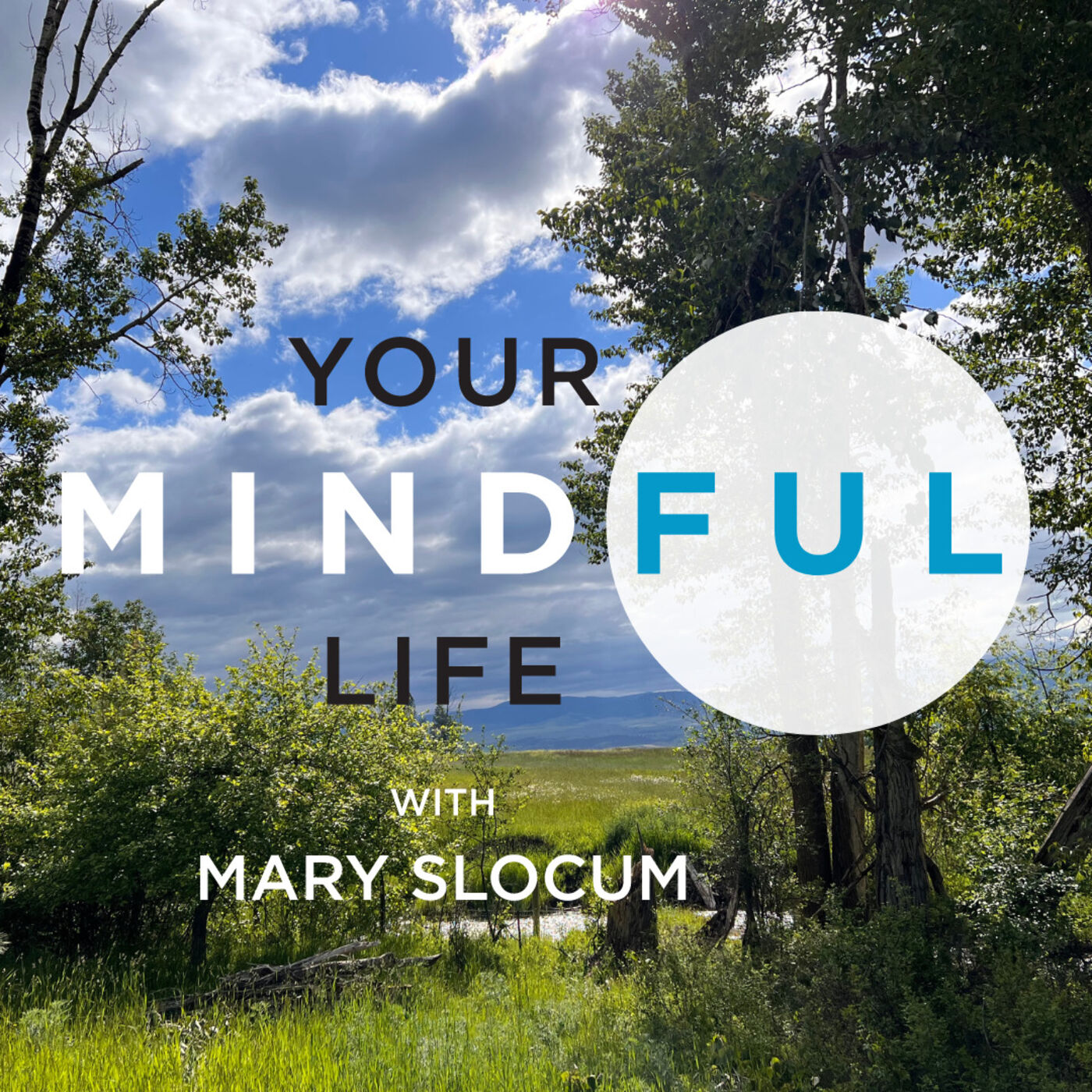 Your Mindful Life