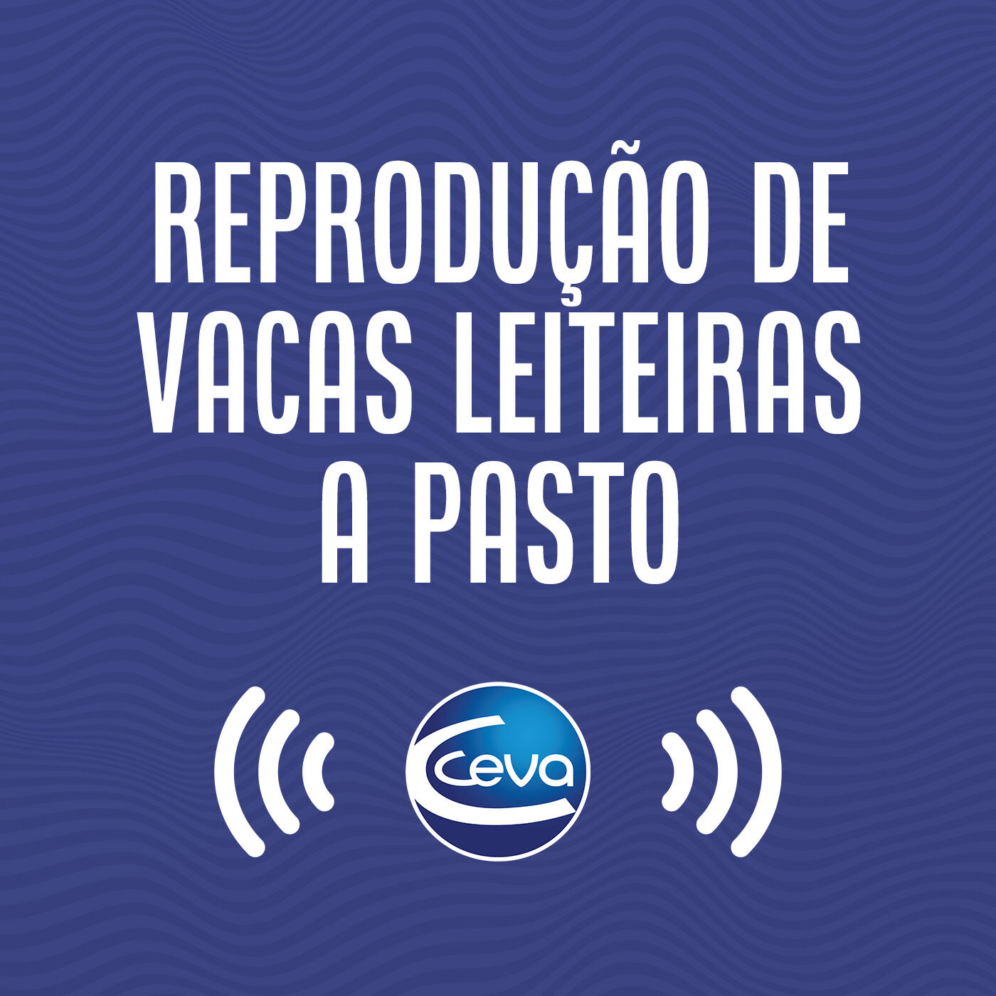 Ceva Sounds BR Pecuária