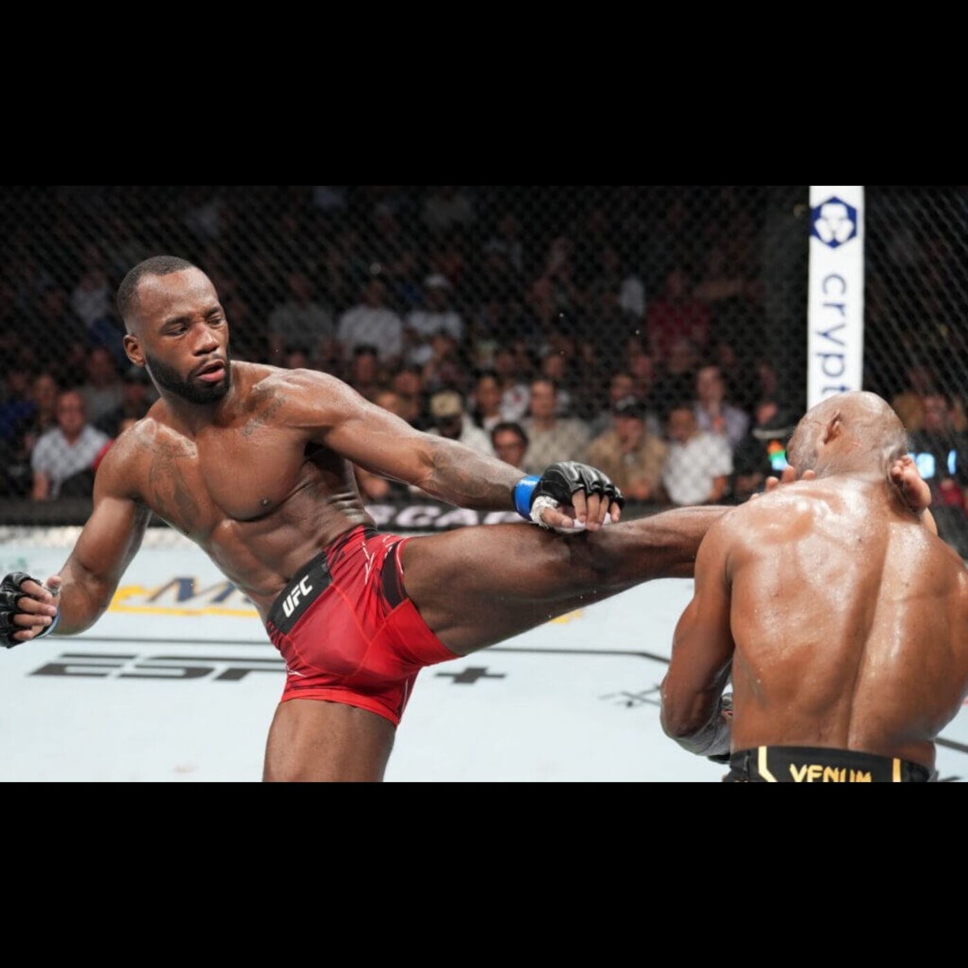 JD TALKIN SPORTS #1090