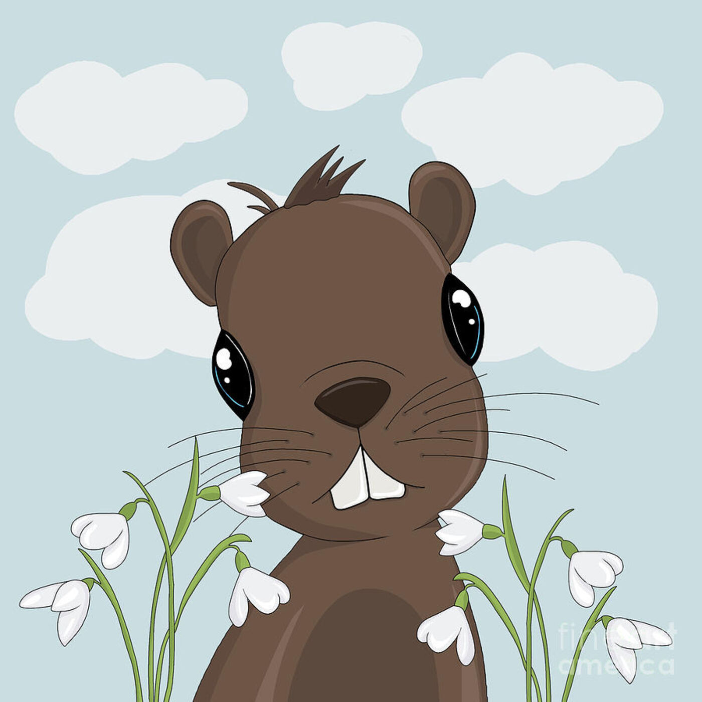 Groundhog Crypto