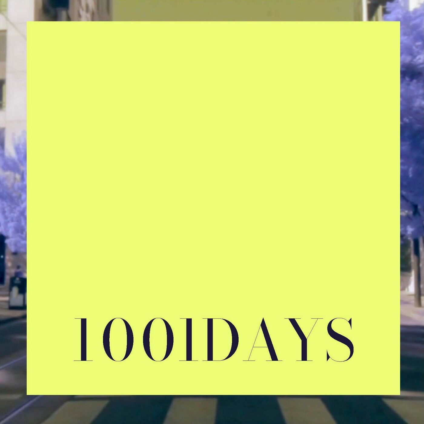 1001 Days