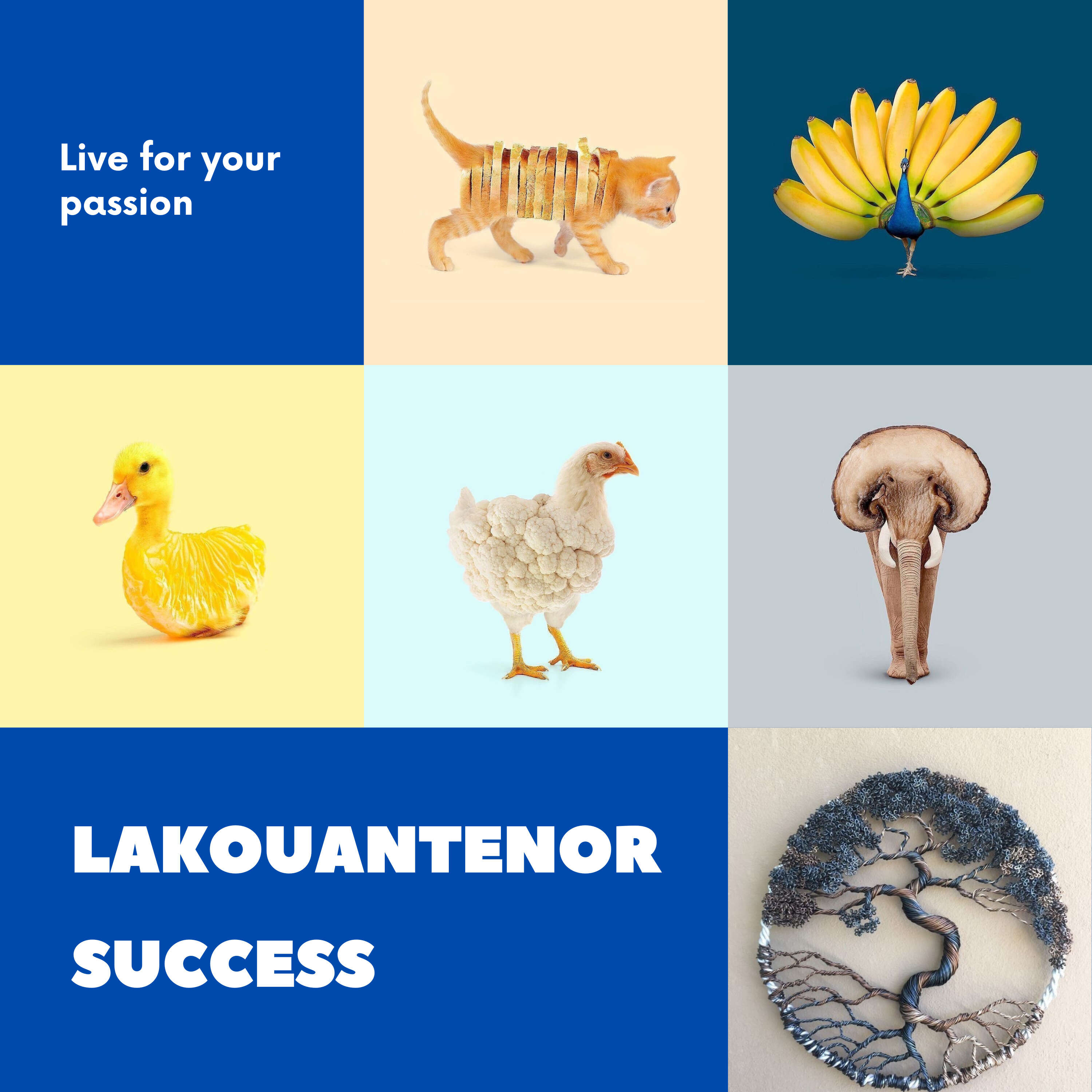 LakouAntenor Success