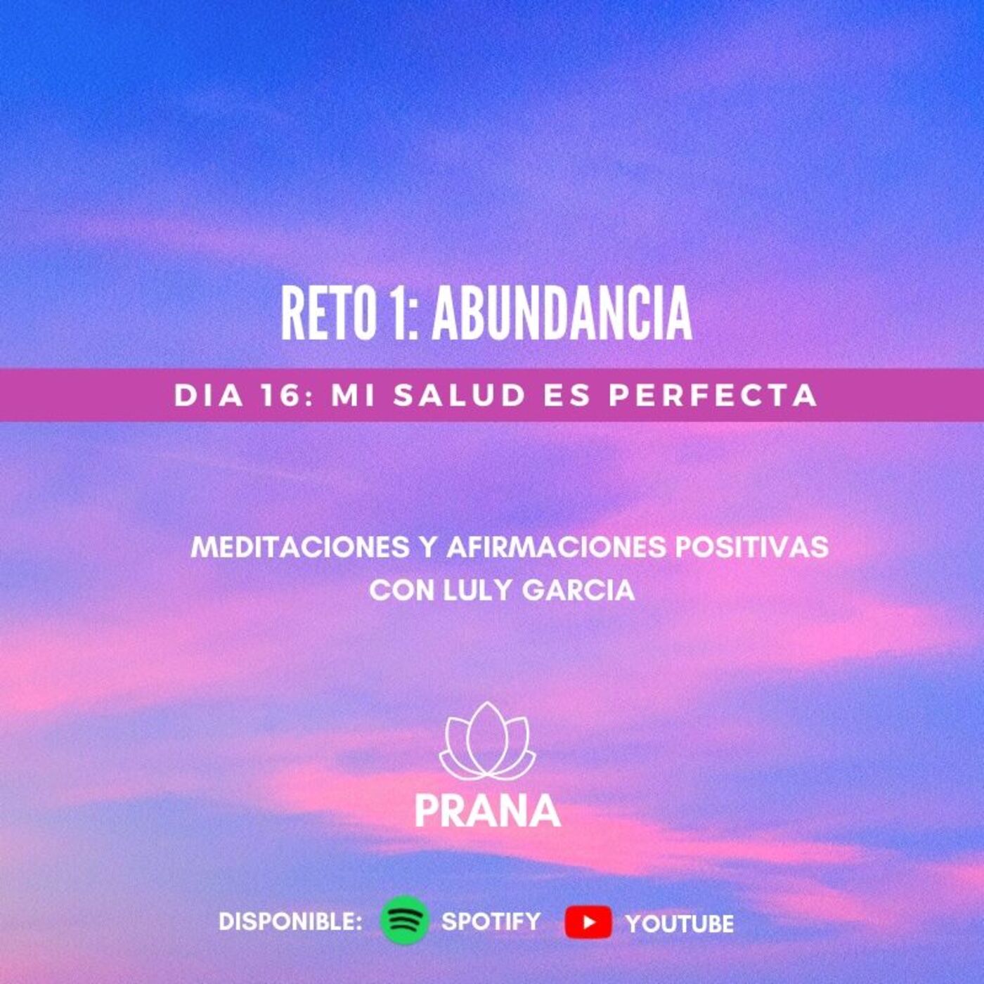 PRANA. Meditaciones con Luly Garcia