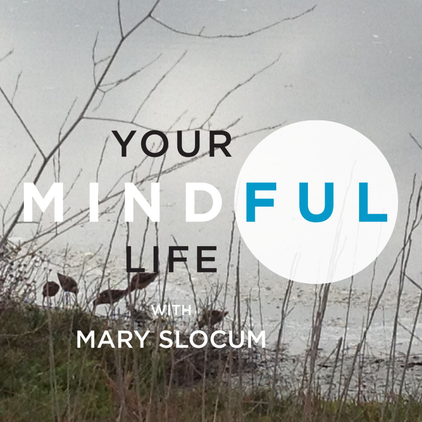 Your Mindful Life