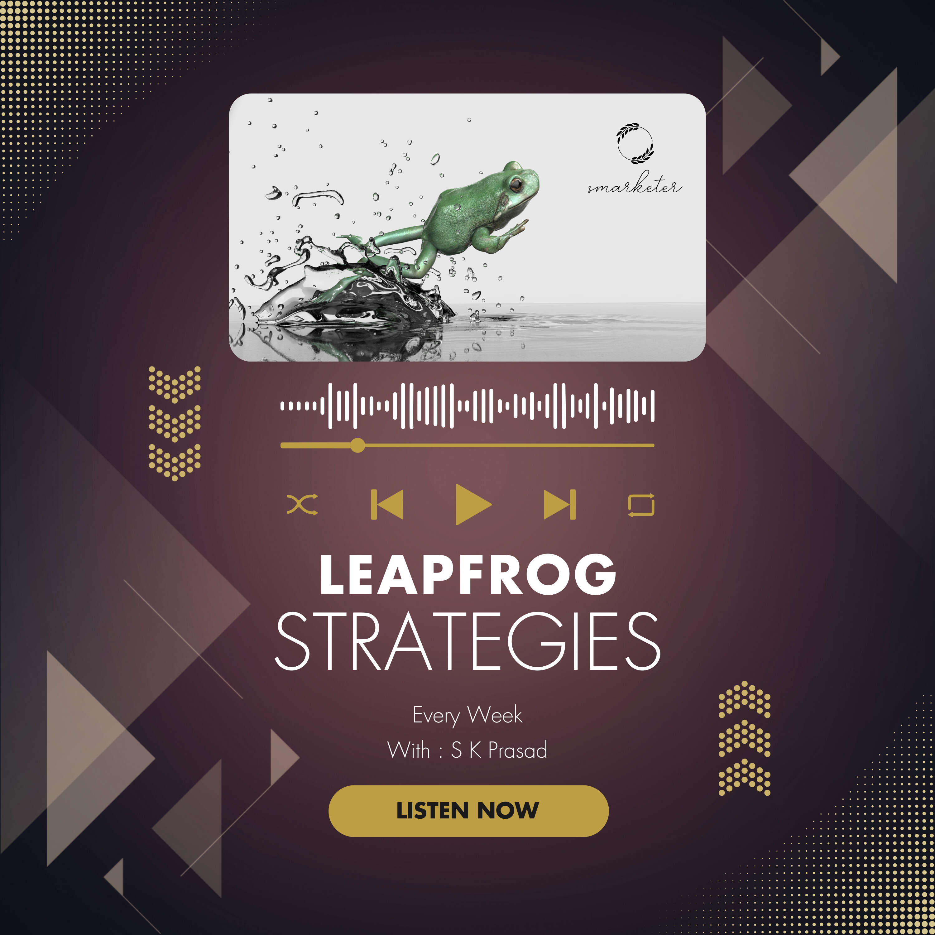 Leapfrog Strategies podcast artwork