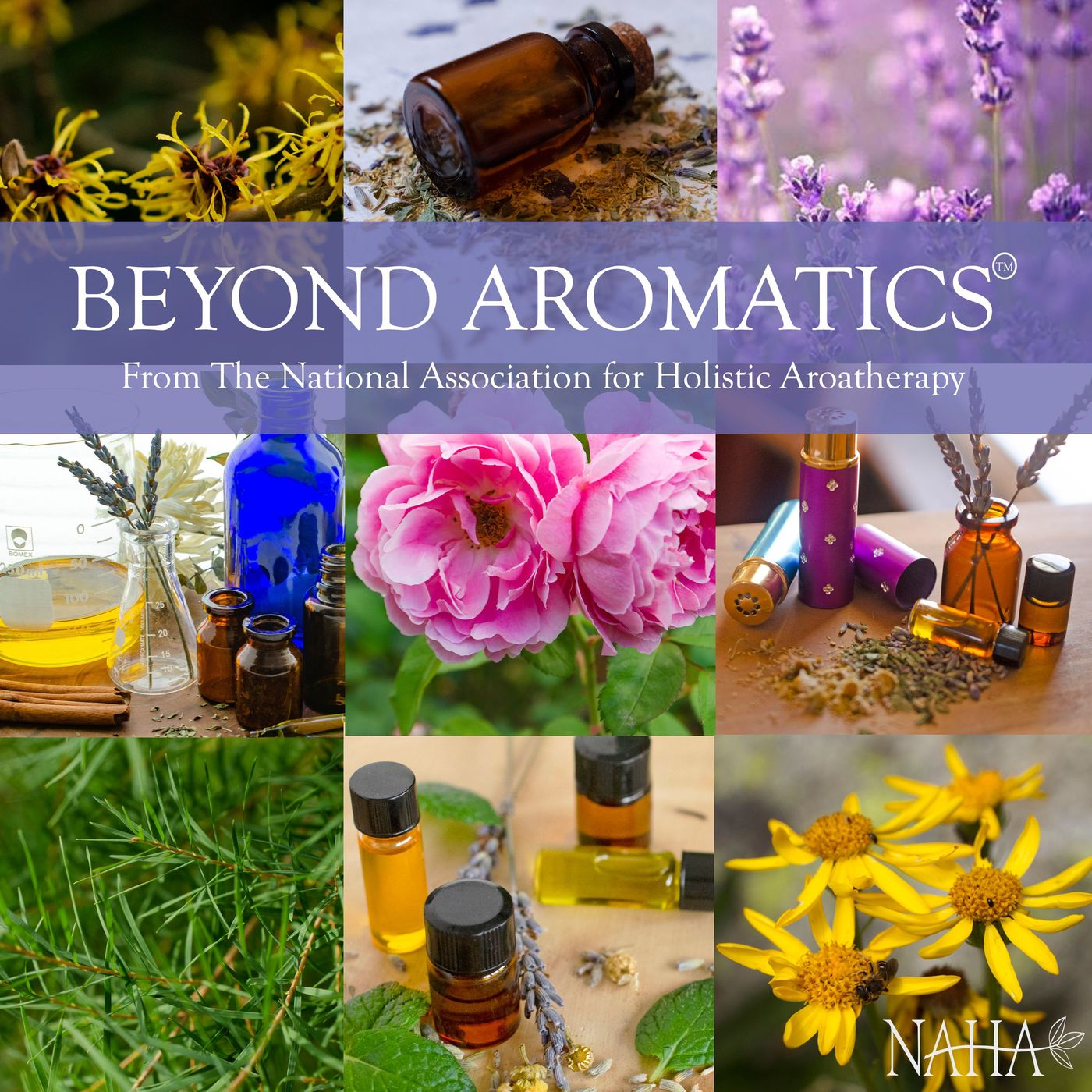 Beyond Aromatics