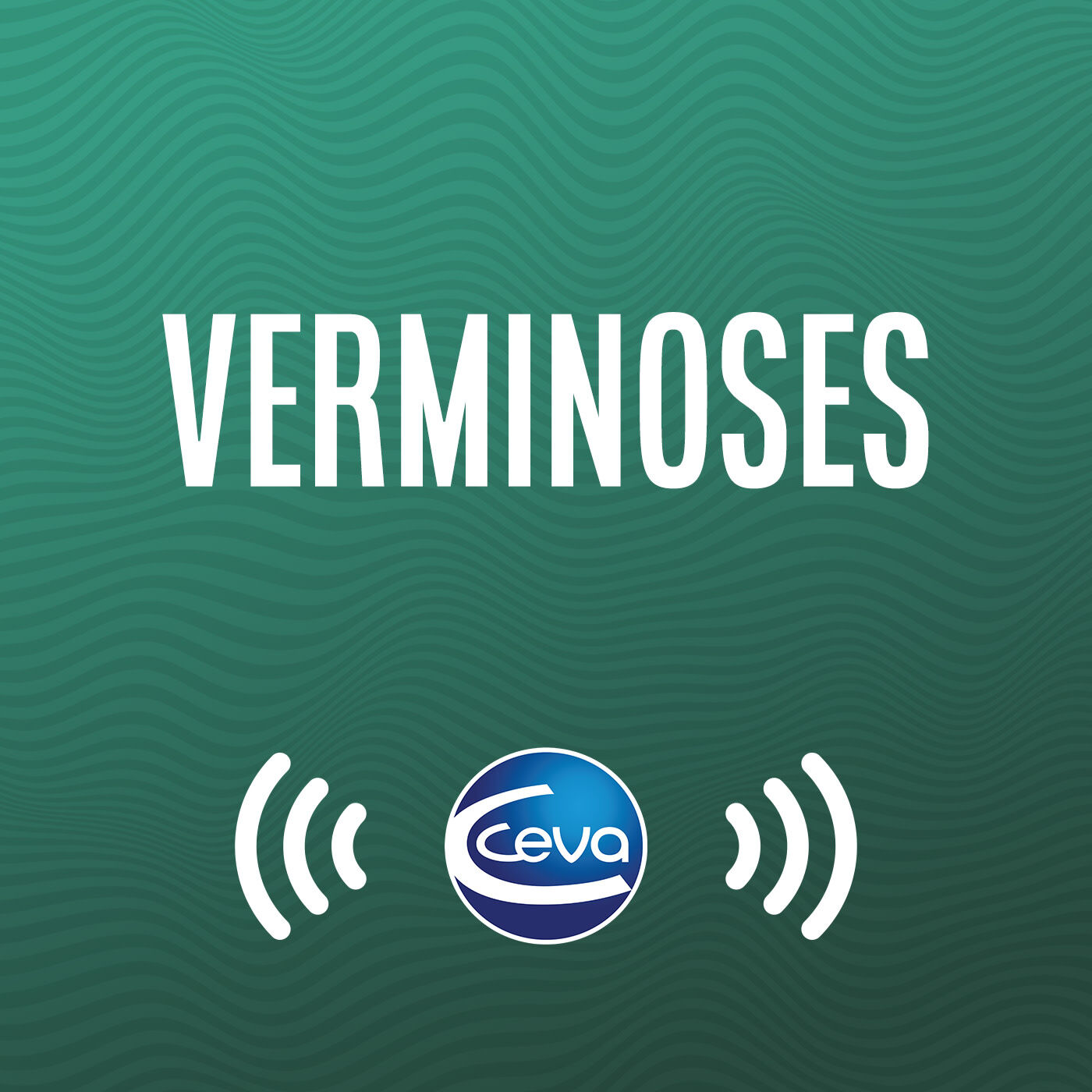 Ceva Sounds BR Equinos