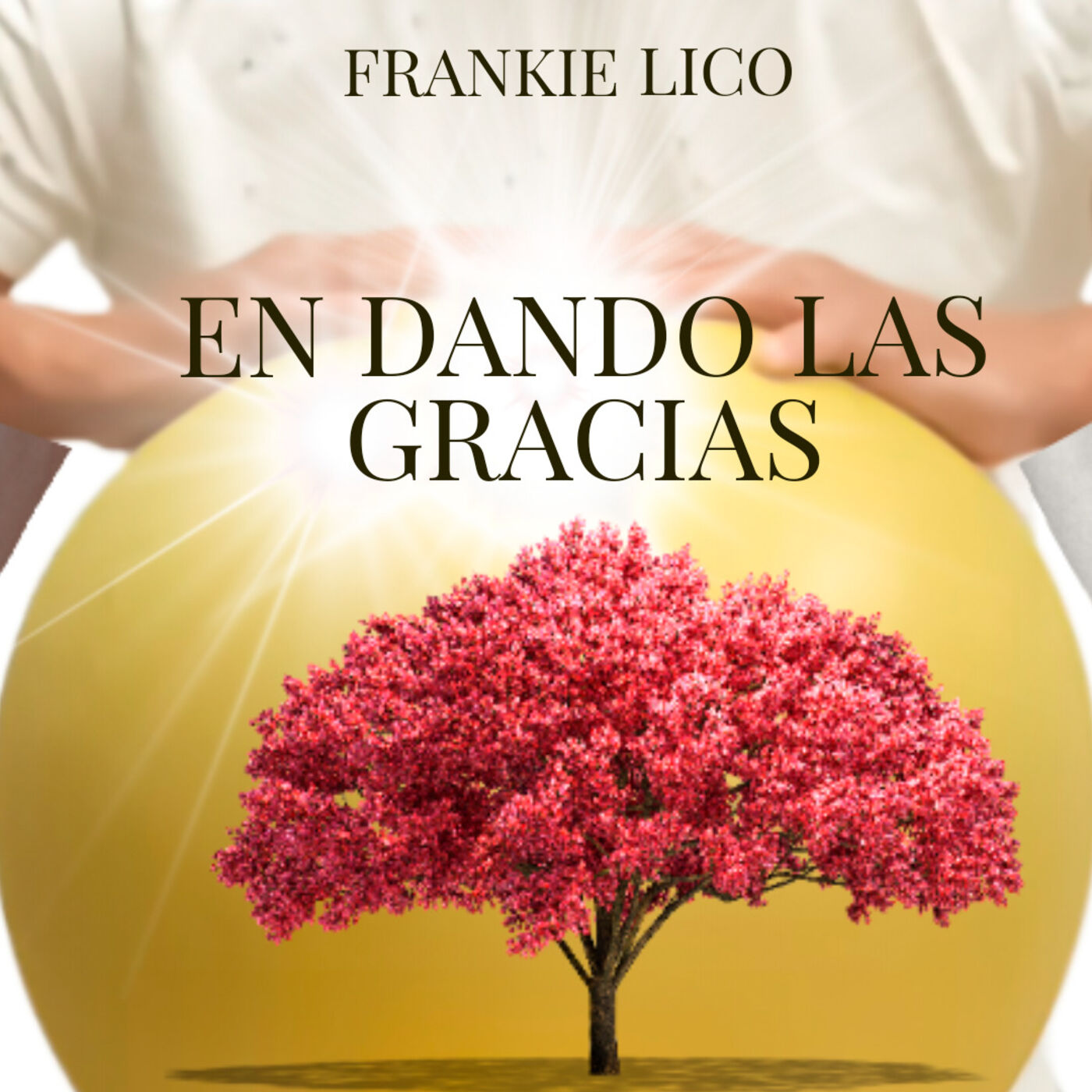 En Dando las Gracias