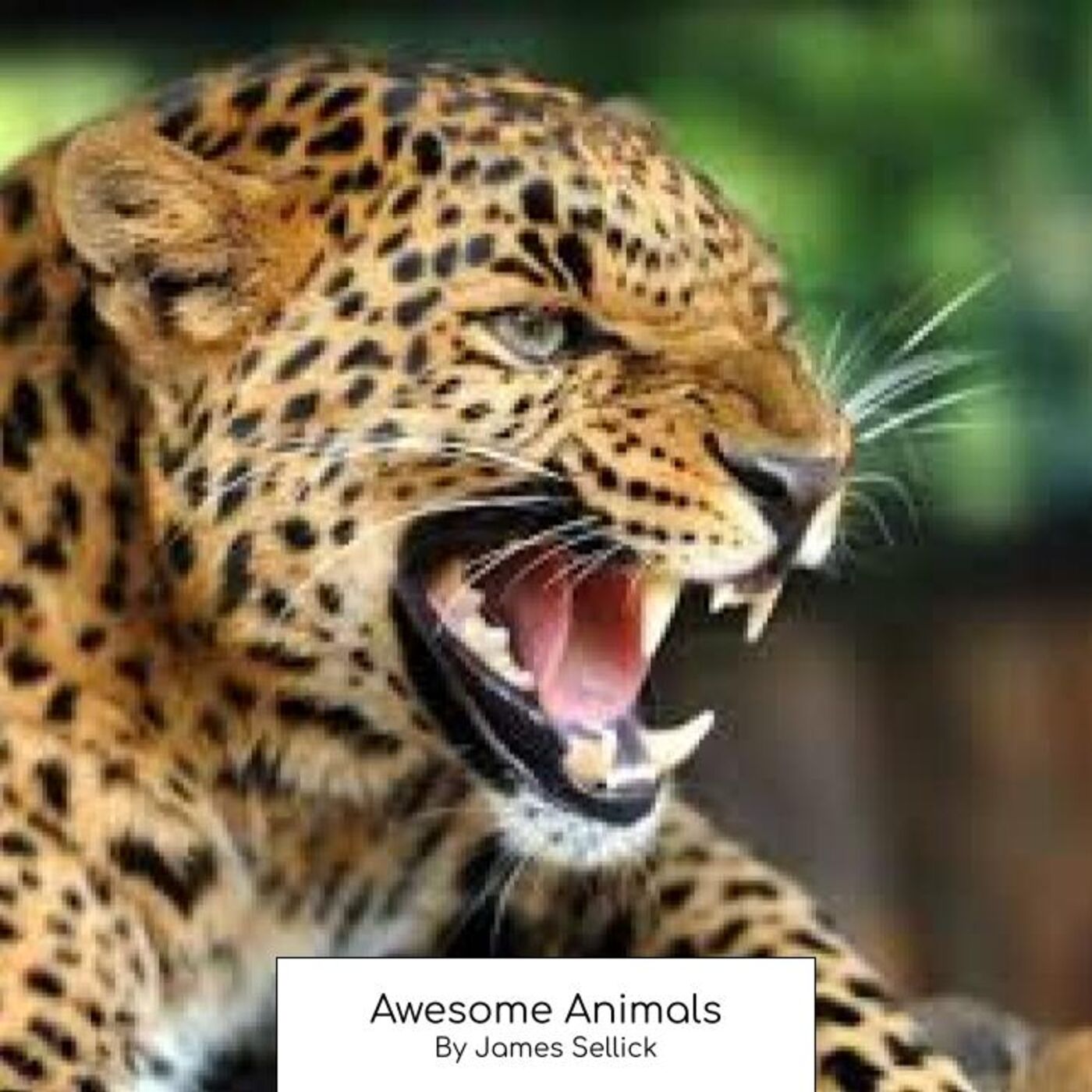 Awesome Animals podcast artwork