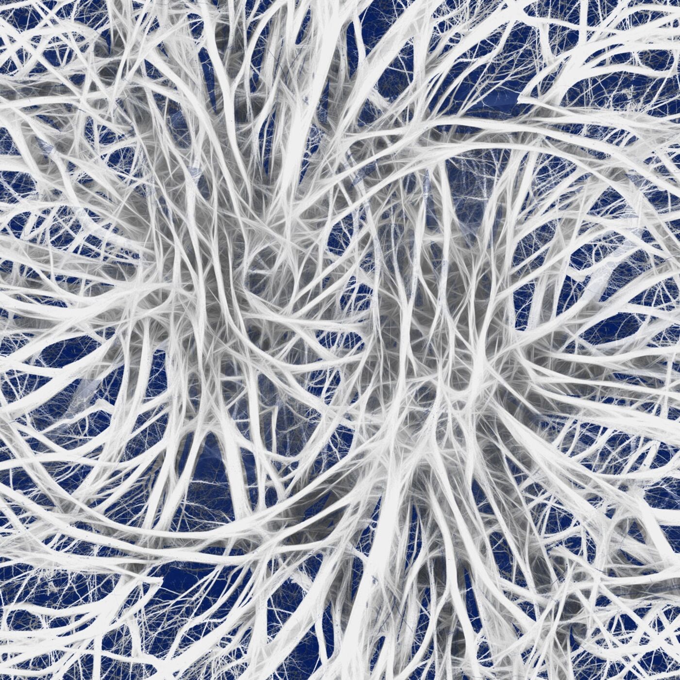 Infections and the Nerves