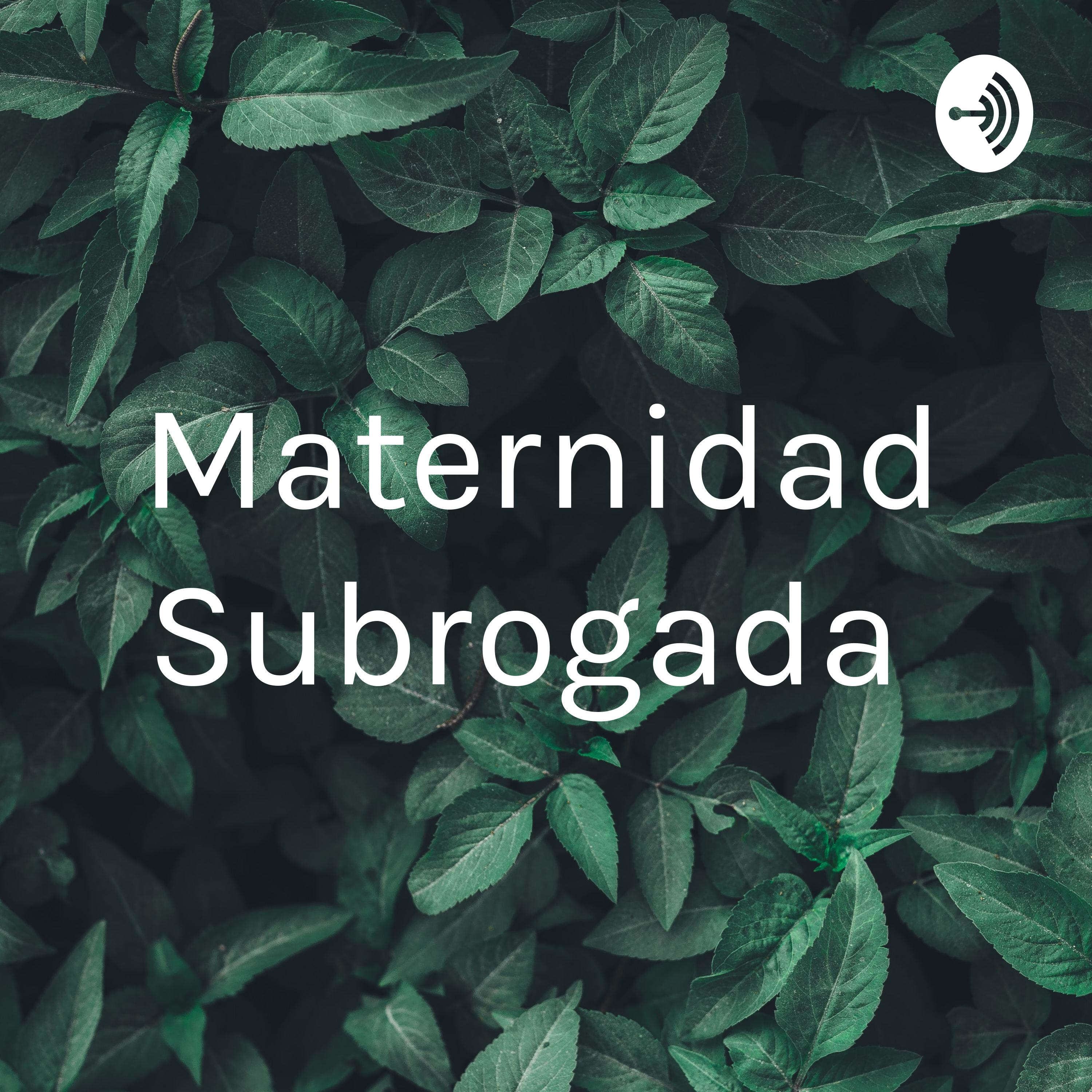 Maternidad Subrogada