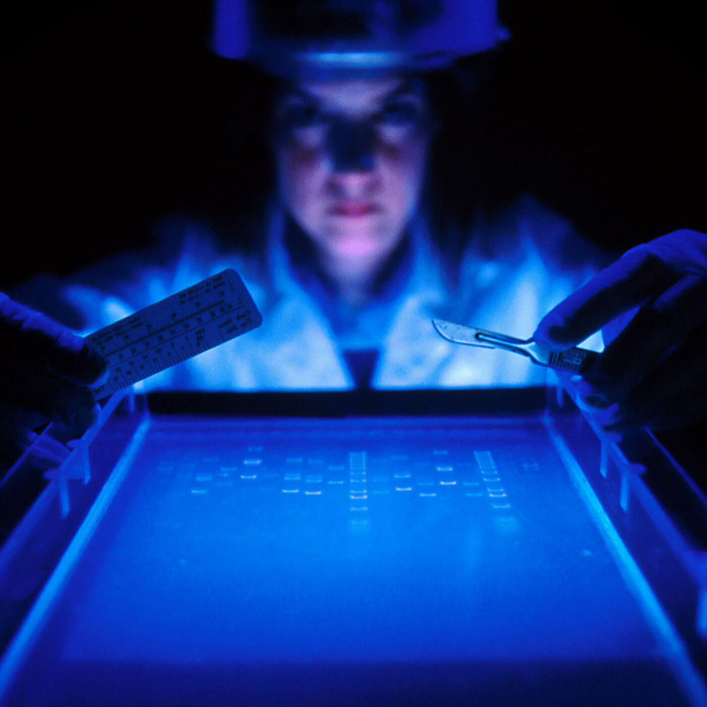 The Future of Health Globally