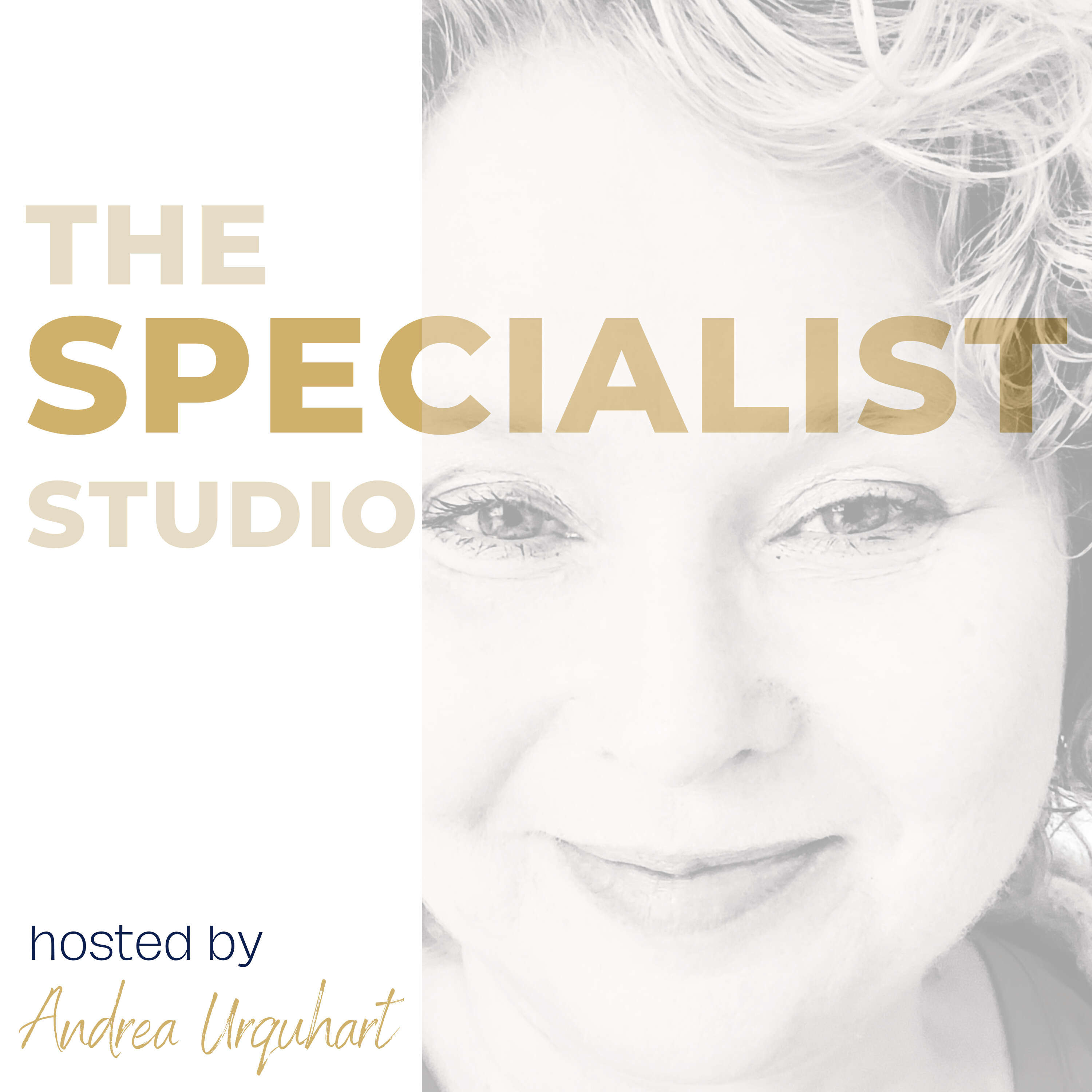 The Specialist Studio