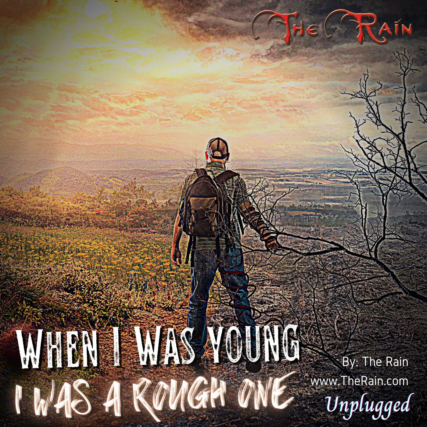I Was A Rough One - Unplugged