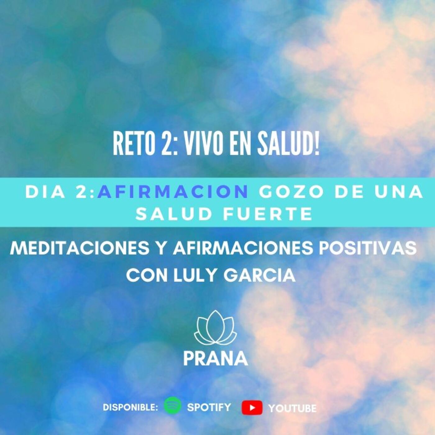 PRANA. Meditaciones con Luly Garcia