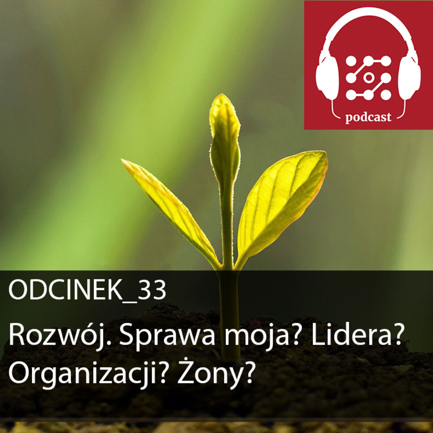 Rozwój. Sprawa moja? Lidera? Organizacji? Żony? | Dostarczaj Wartość #33