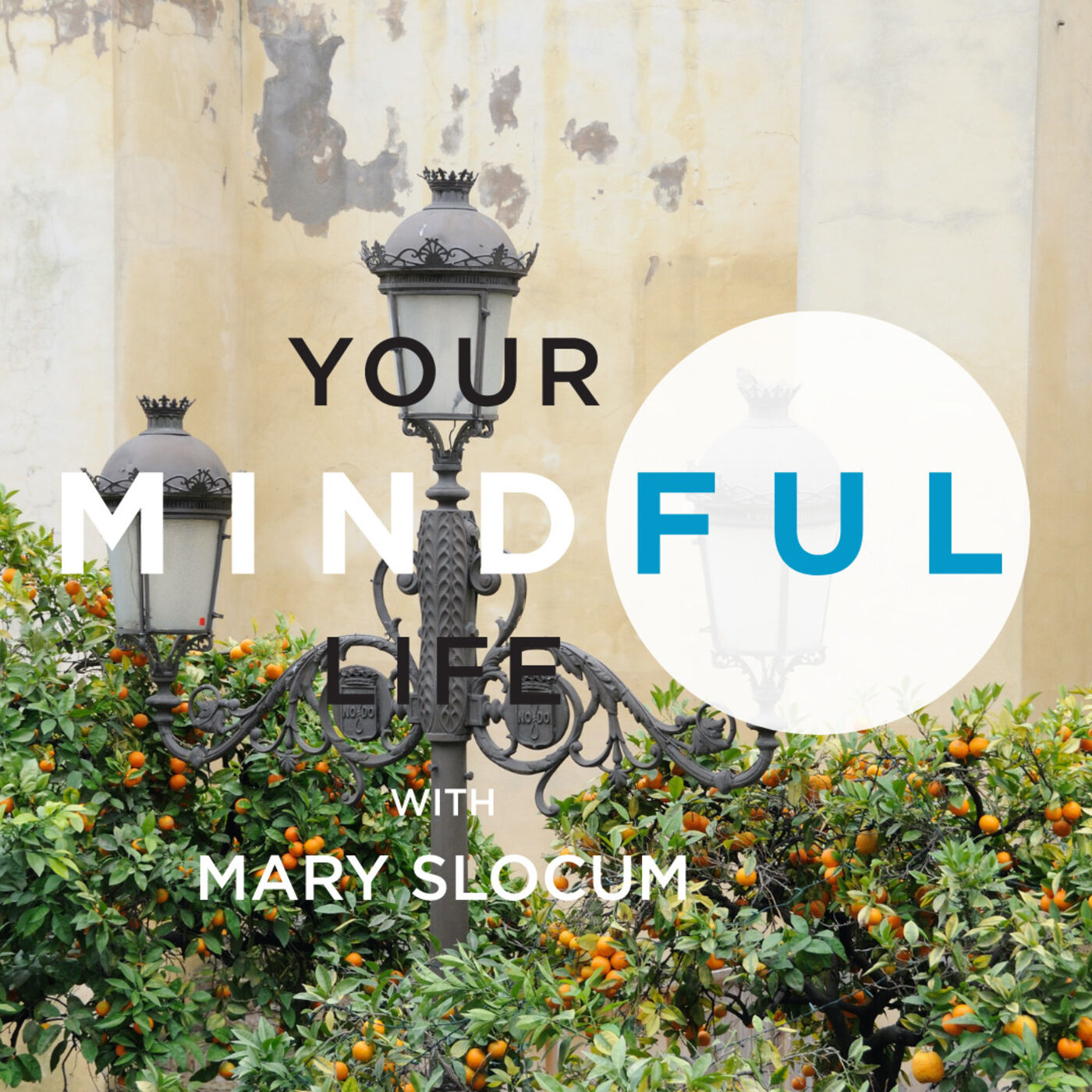 Your Mindful Life
