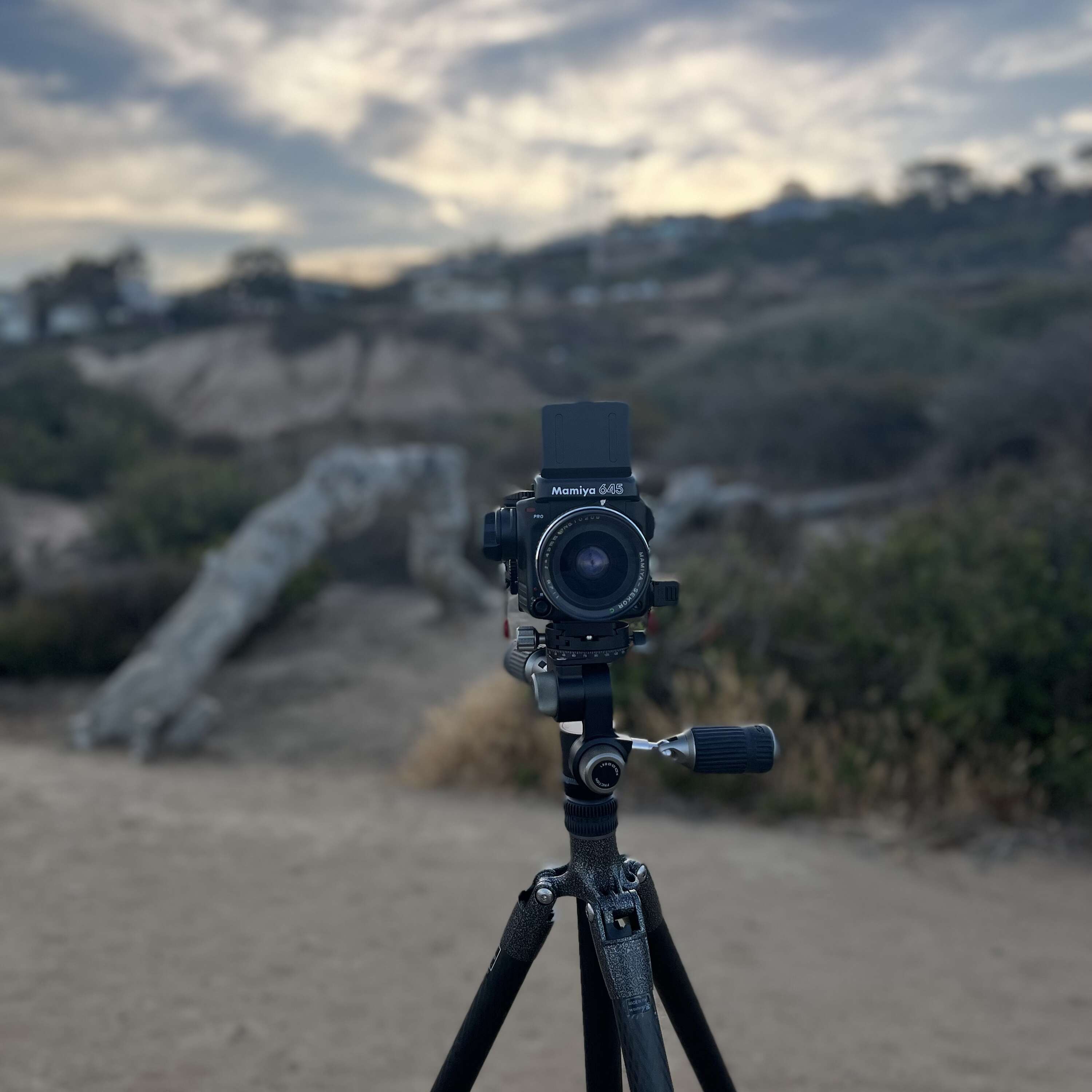 The Dark Lens Podcast cover art