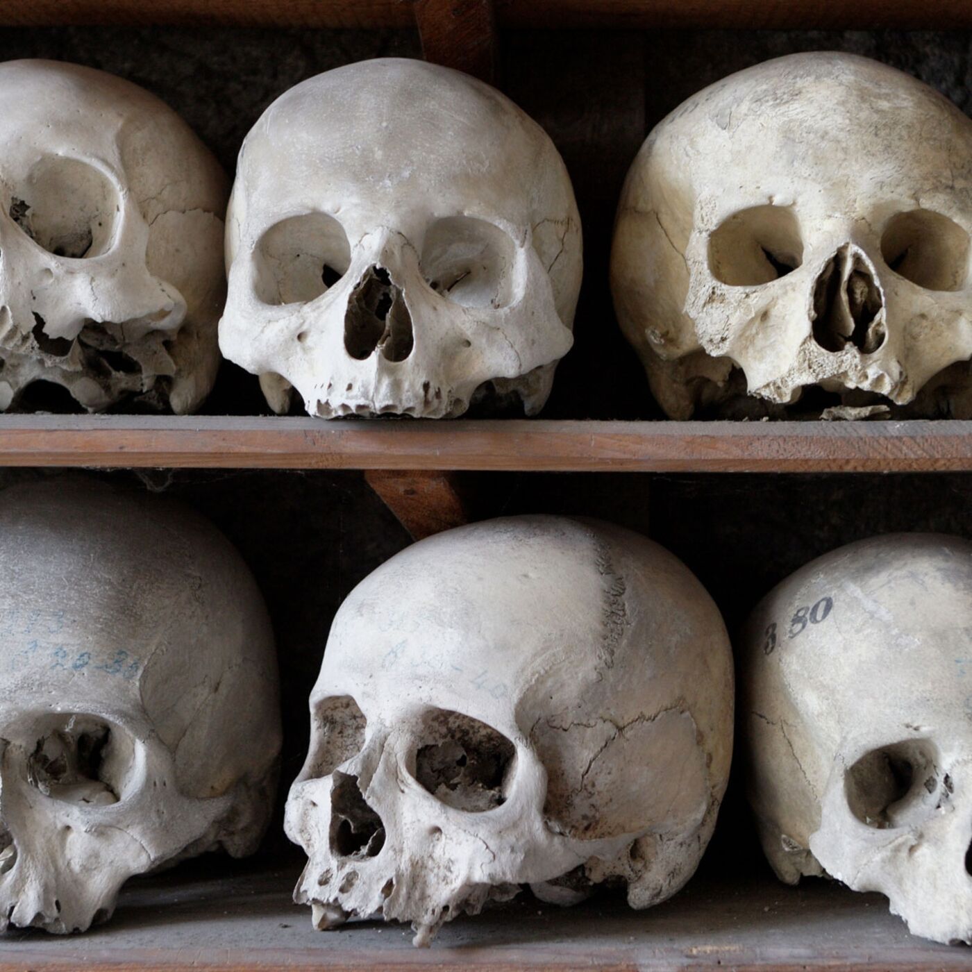 The Meaning, Value and Sanctity of Human Life