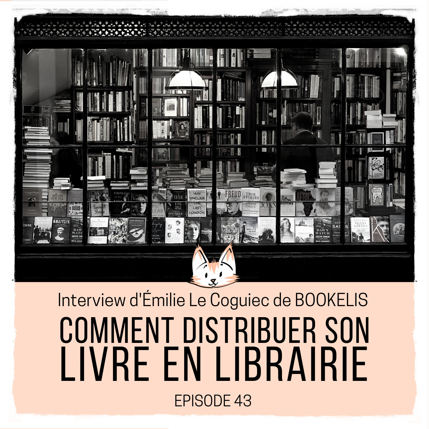 Le Chat de L\'Ecrivain