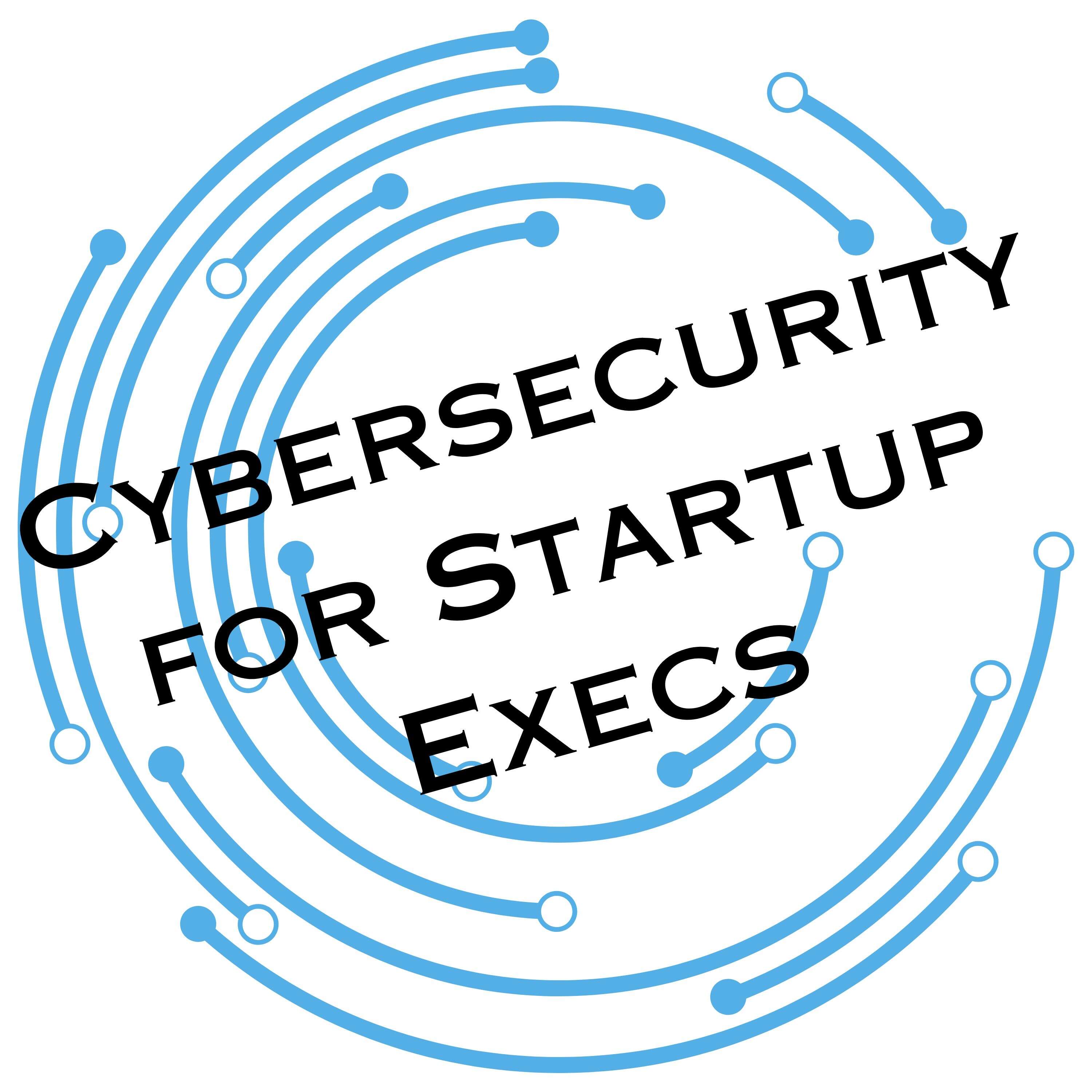 Cybersecurity for Startup Executives