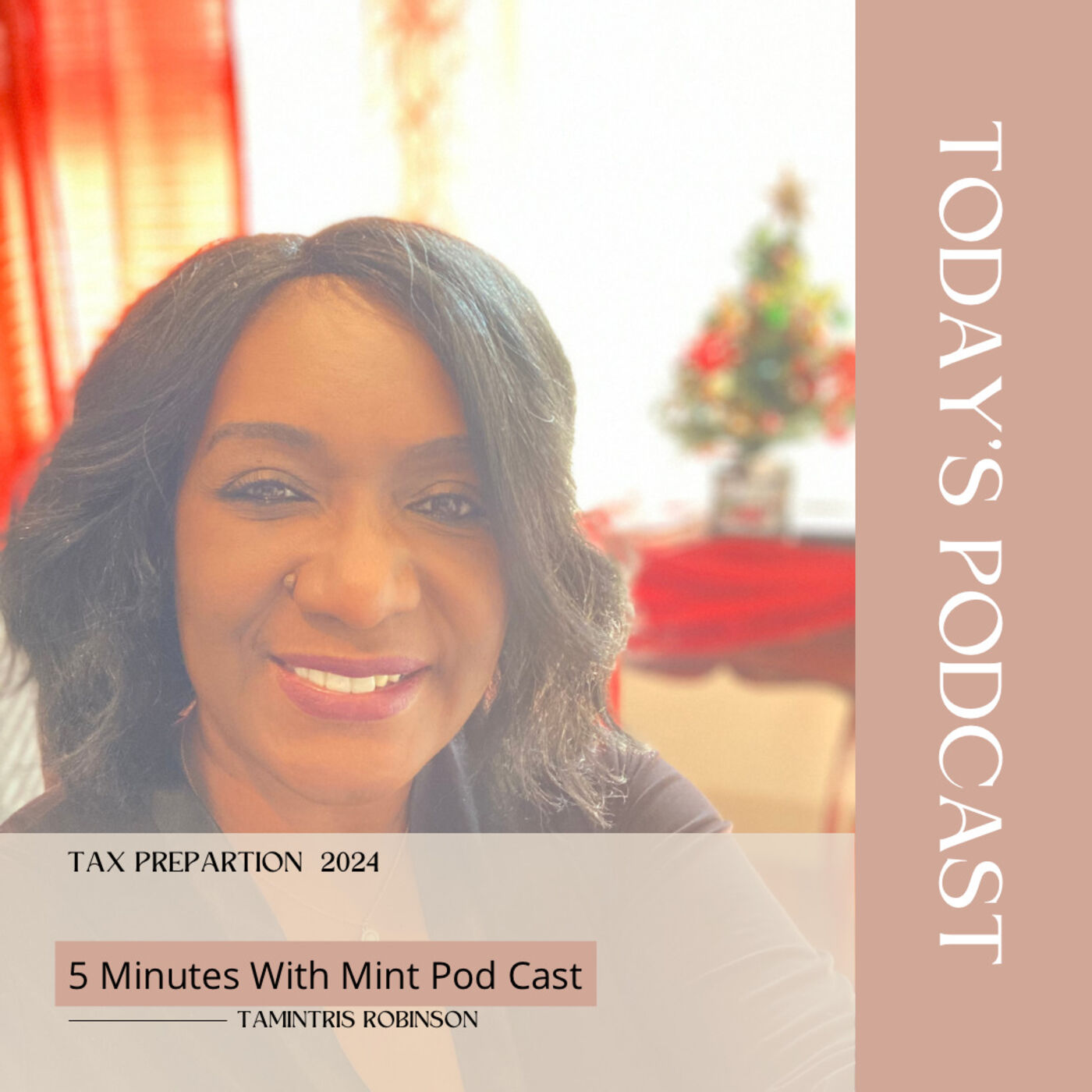 Tax Preparation Service  2024 podcast artwork