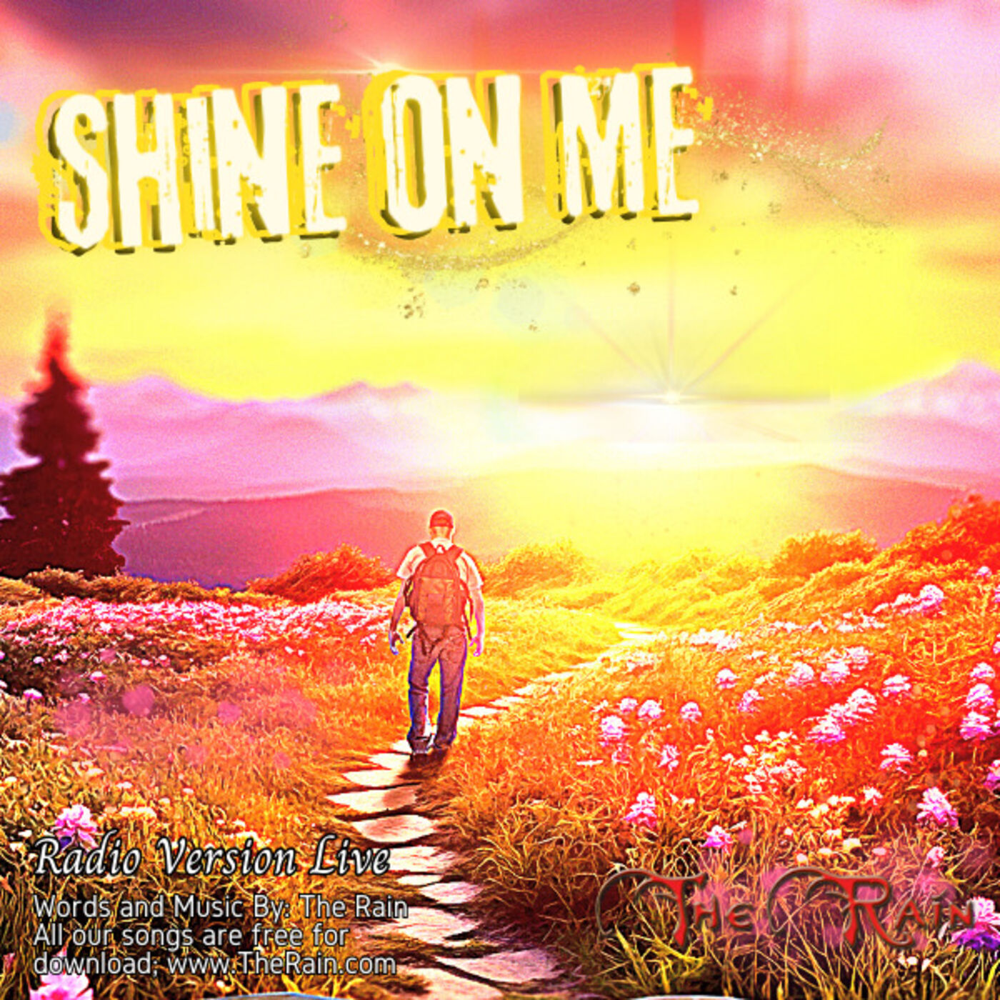Shine On Me - Live Radio Version