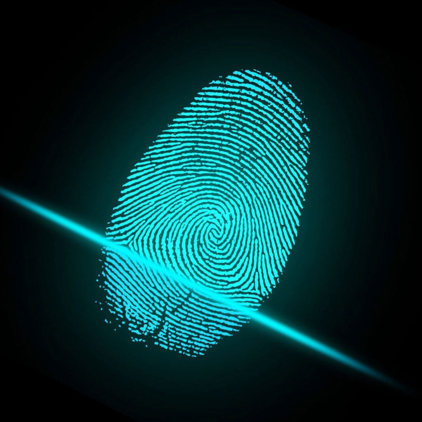 Biometrics: How Unique are You?