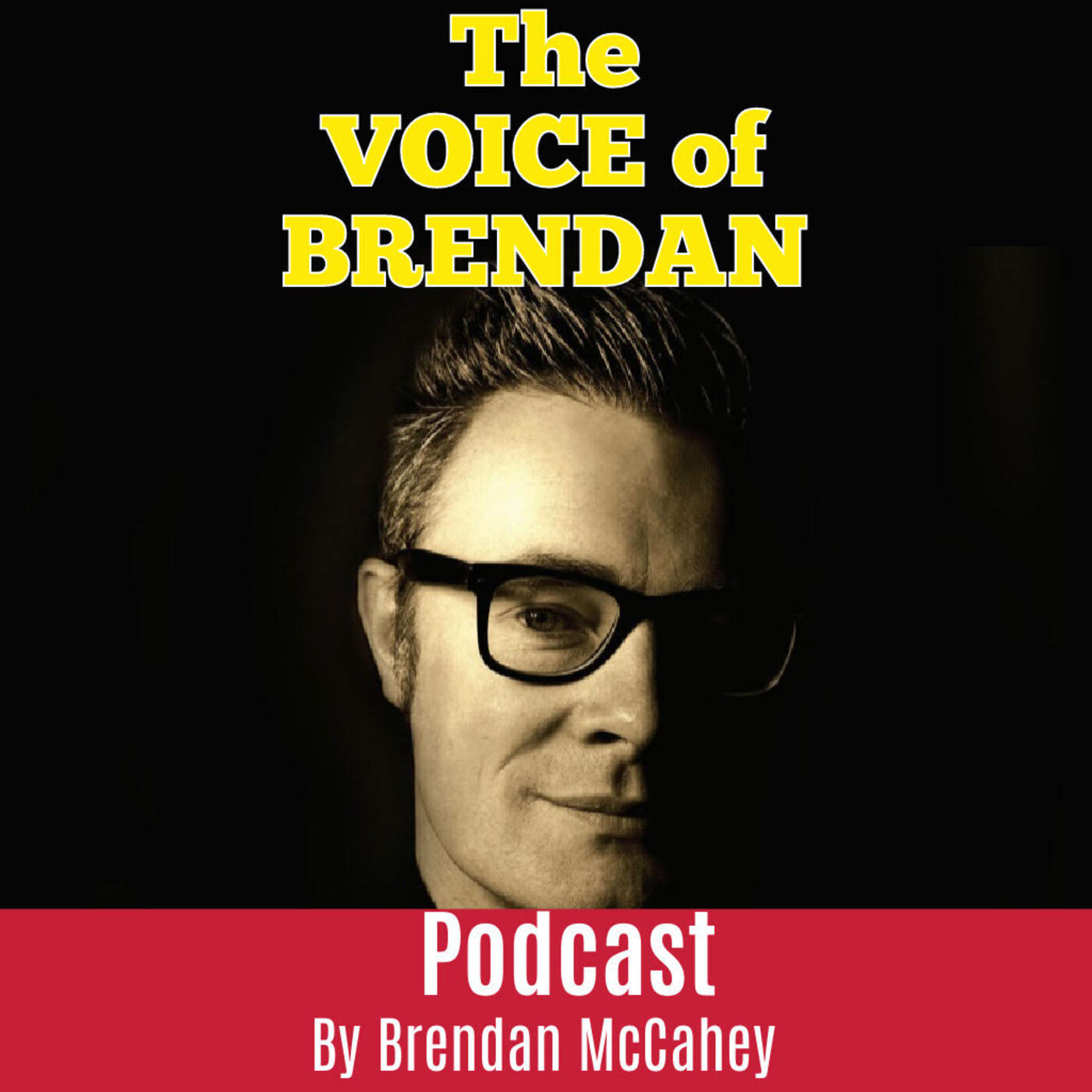 The Voice Of Brendan