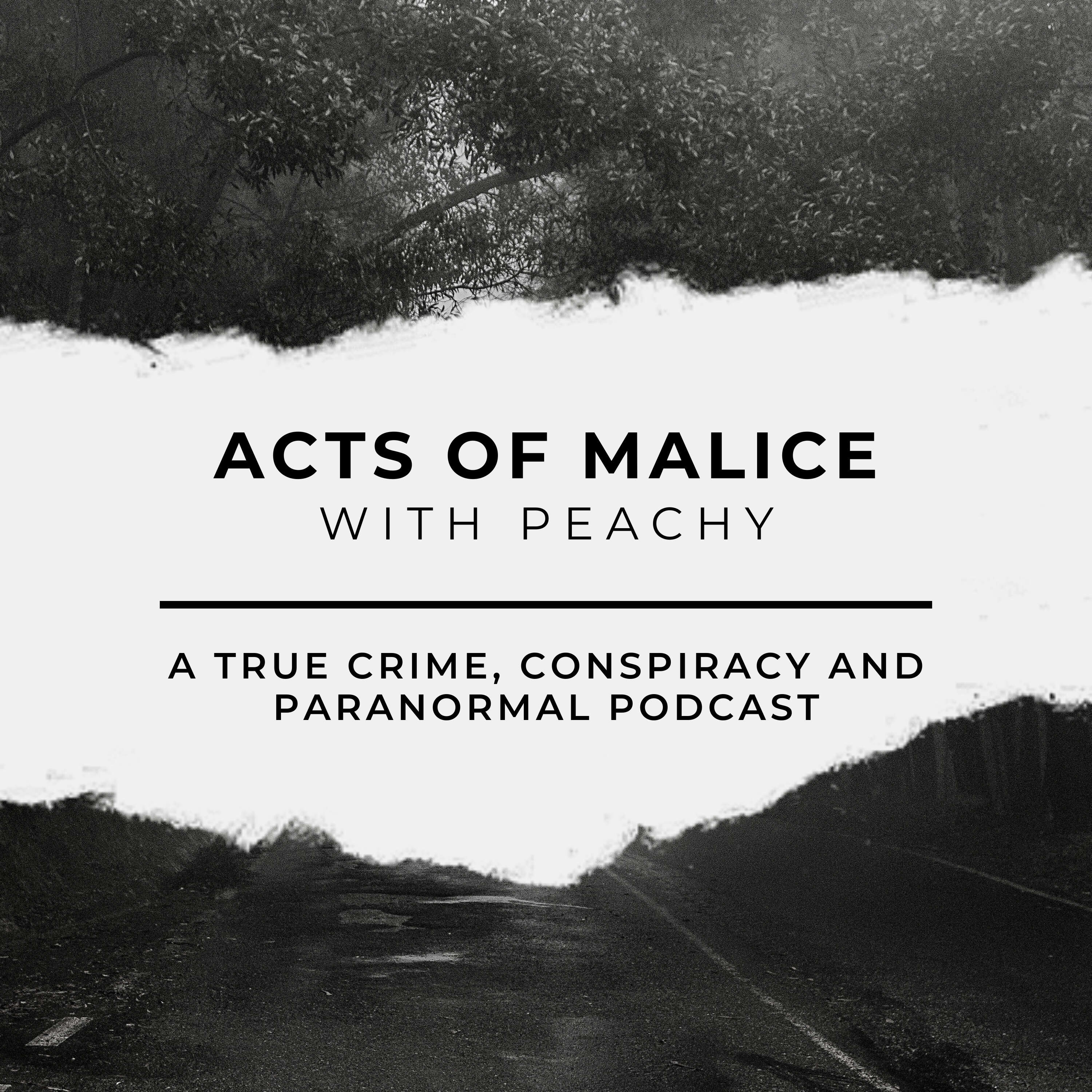 Acts of Malice podcast artwork