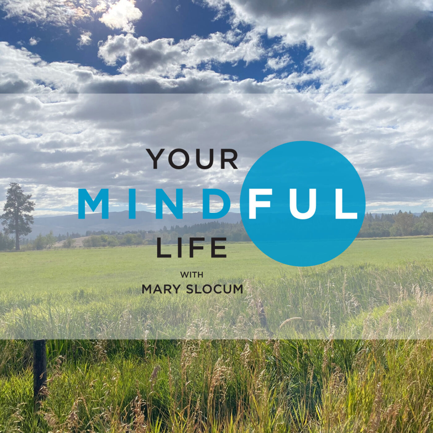 Your Mindful Life