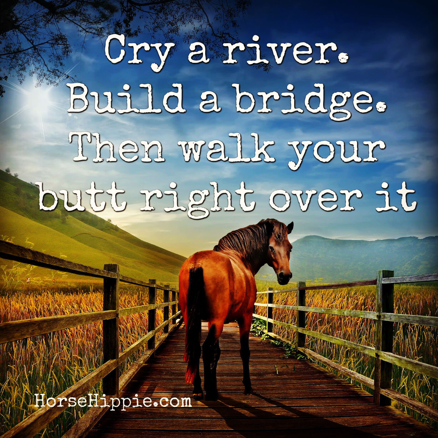 Build a Bridge