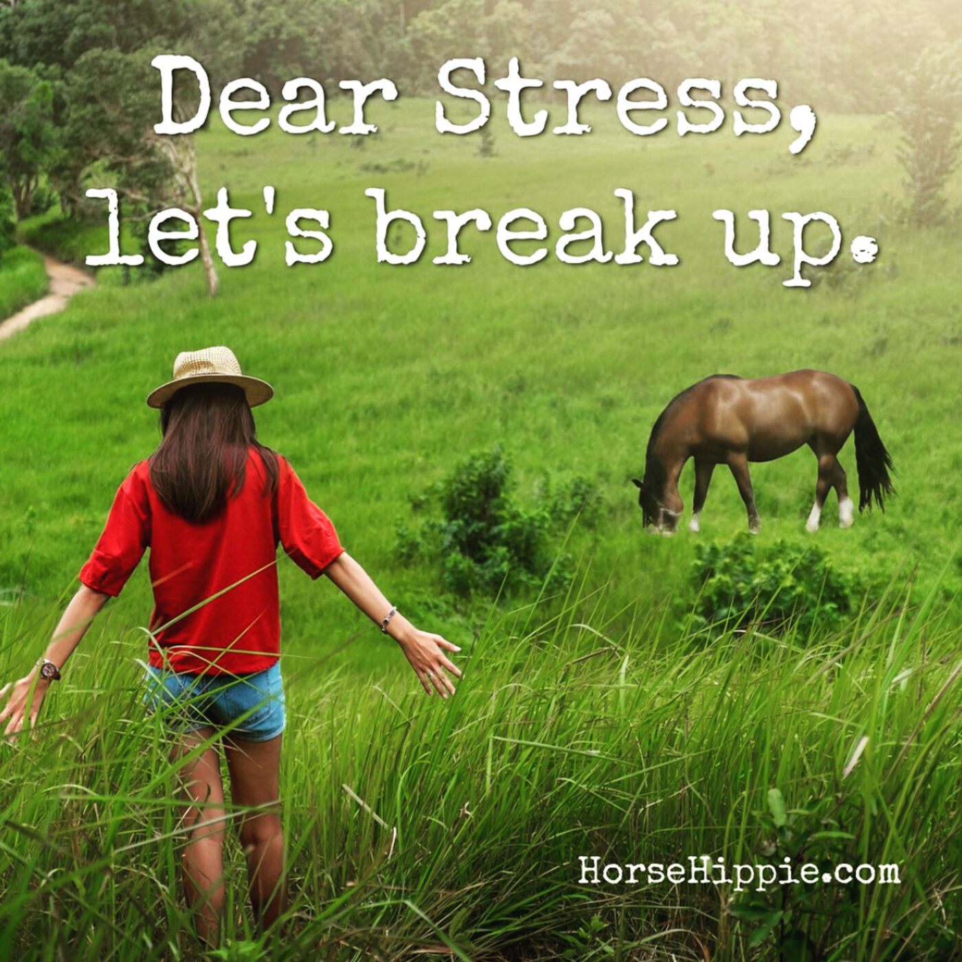 Dear Stress