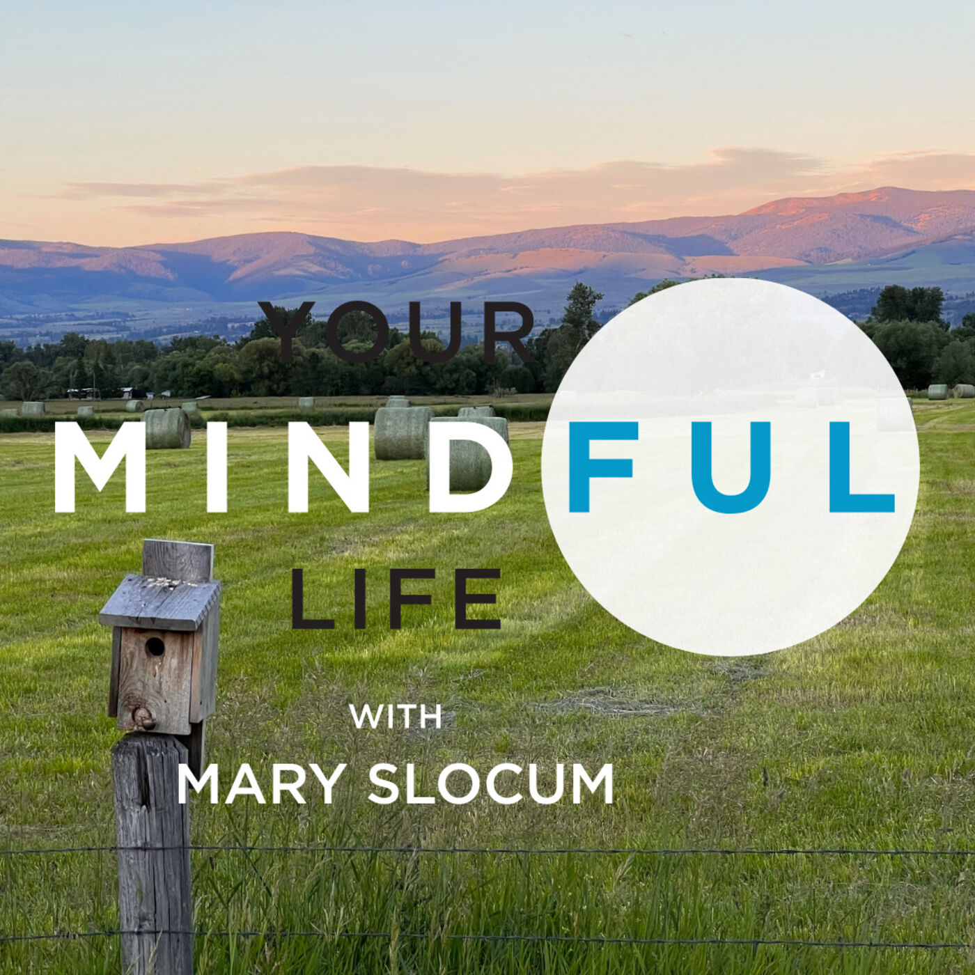 Your Mindful Life