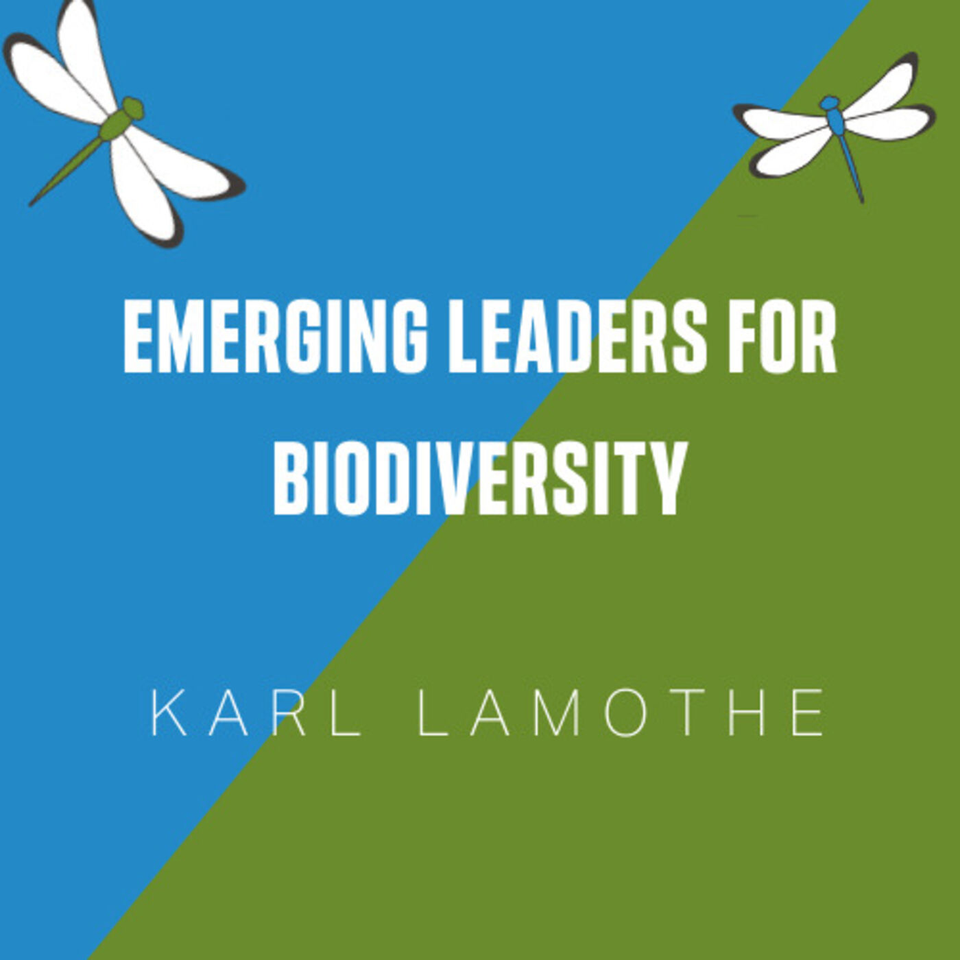 How Do I Do This: An Environmental Career Podcast