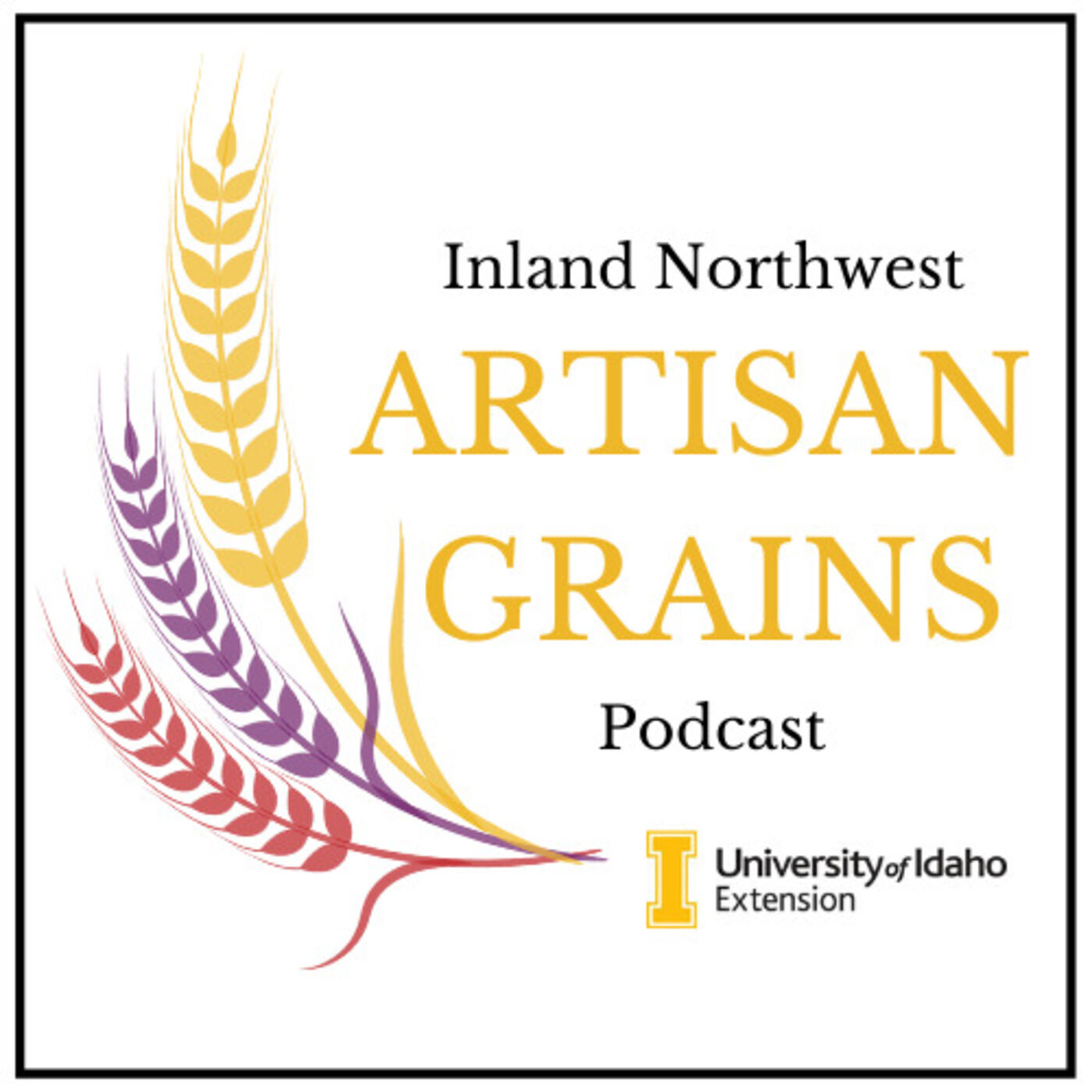 Inland Northwest Artisan Grains Podcast: Unpacking the Grain Shed