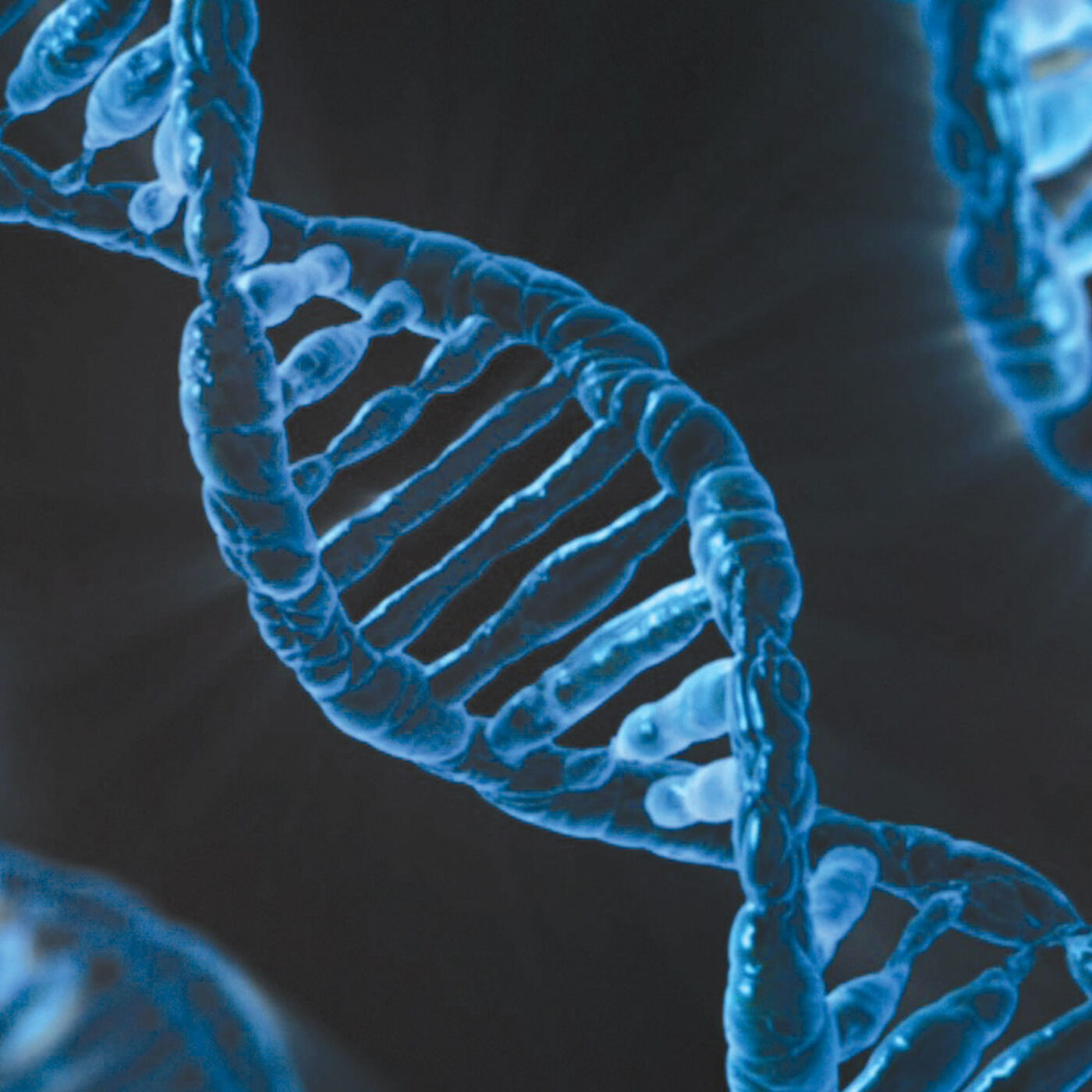 Happily Ever After: The Romance Story