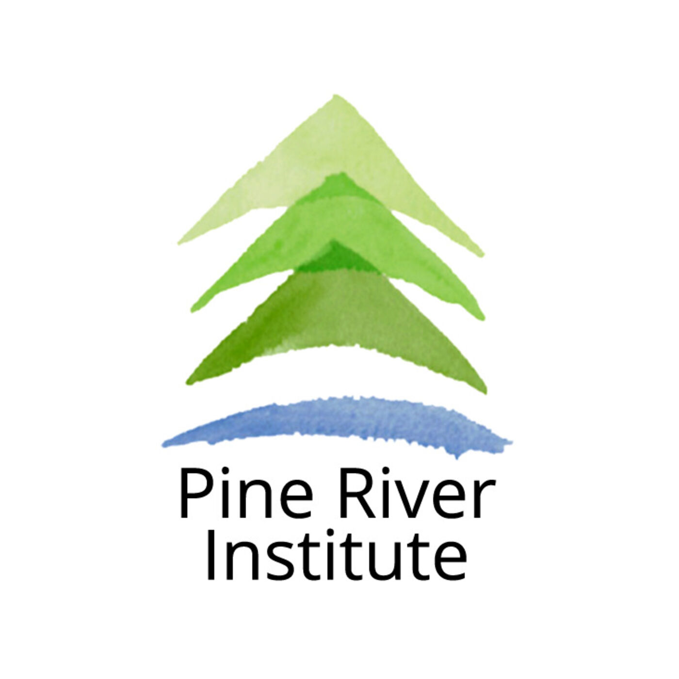 Through the Trees: A Pine River Podcast