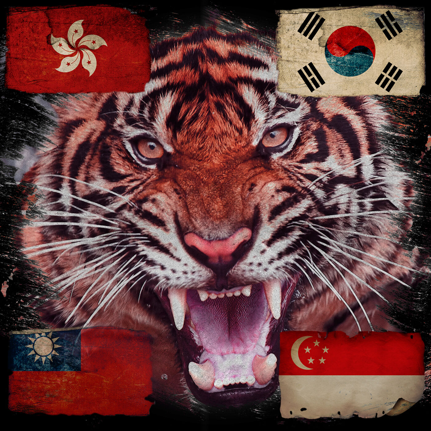 Export-Led Growth in the Asian Tiger Economies - Martin Daunton