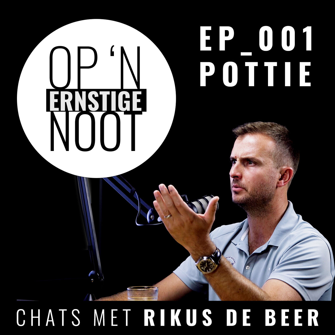 Op \'n Ernstige Noot: Chats met Rikus de Beer
