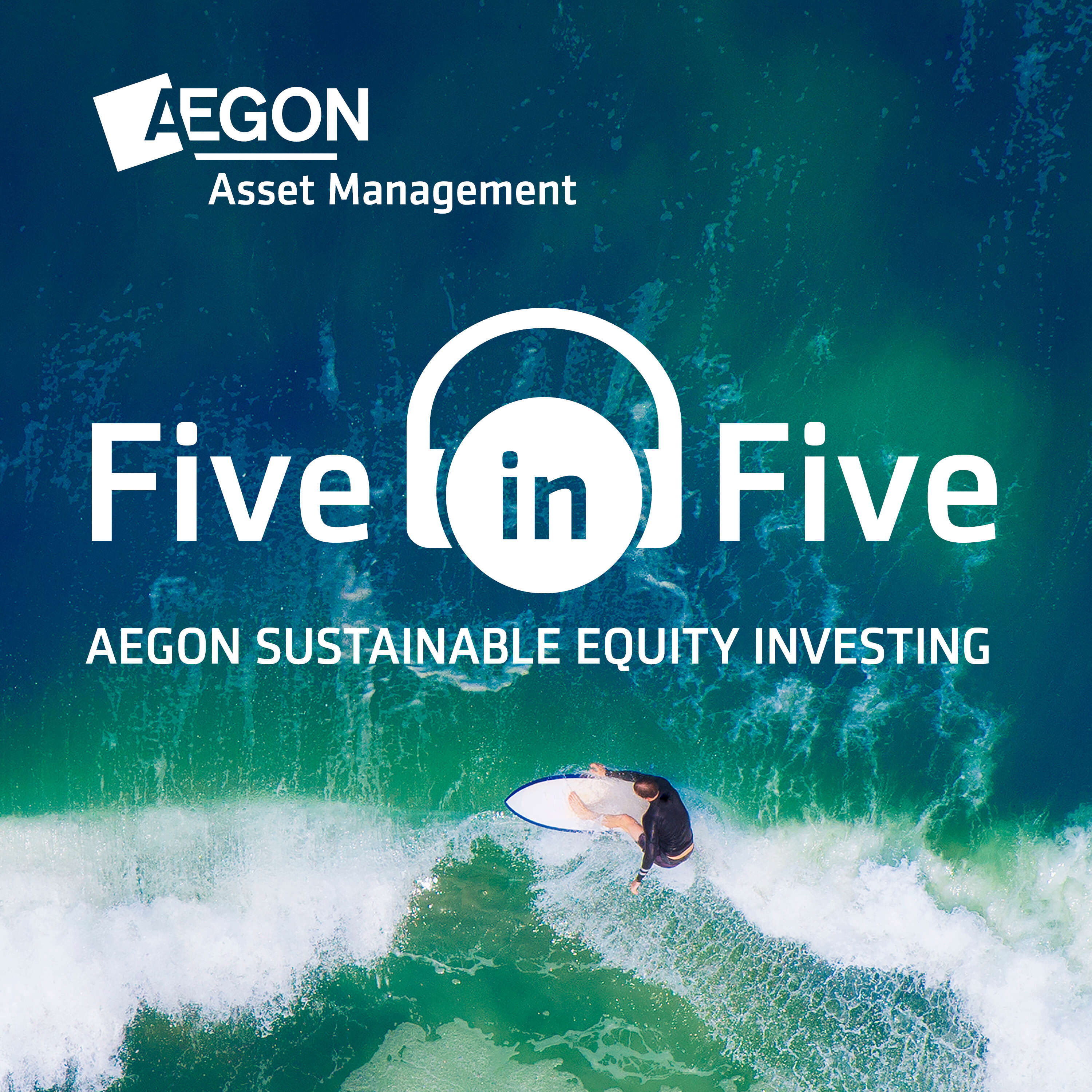 Aegon sustainable equity investing Five in Five
