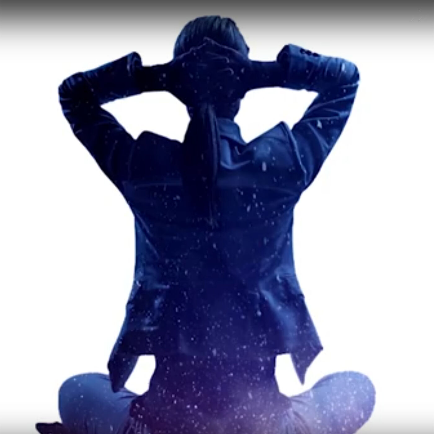 9. Stress Mastery With Dr Evian Gordon PhD. MD