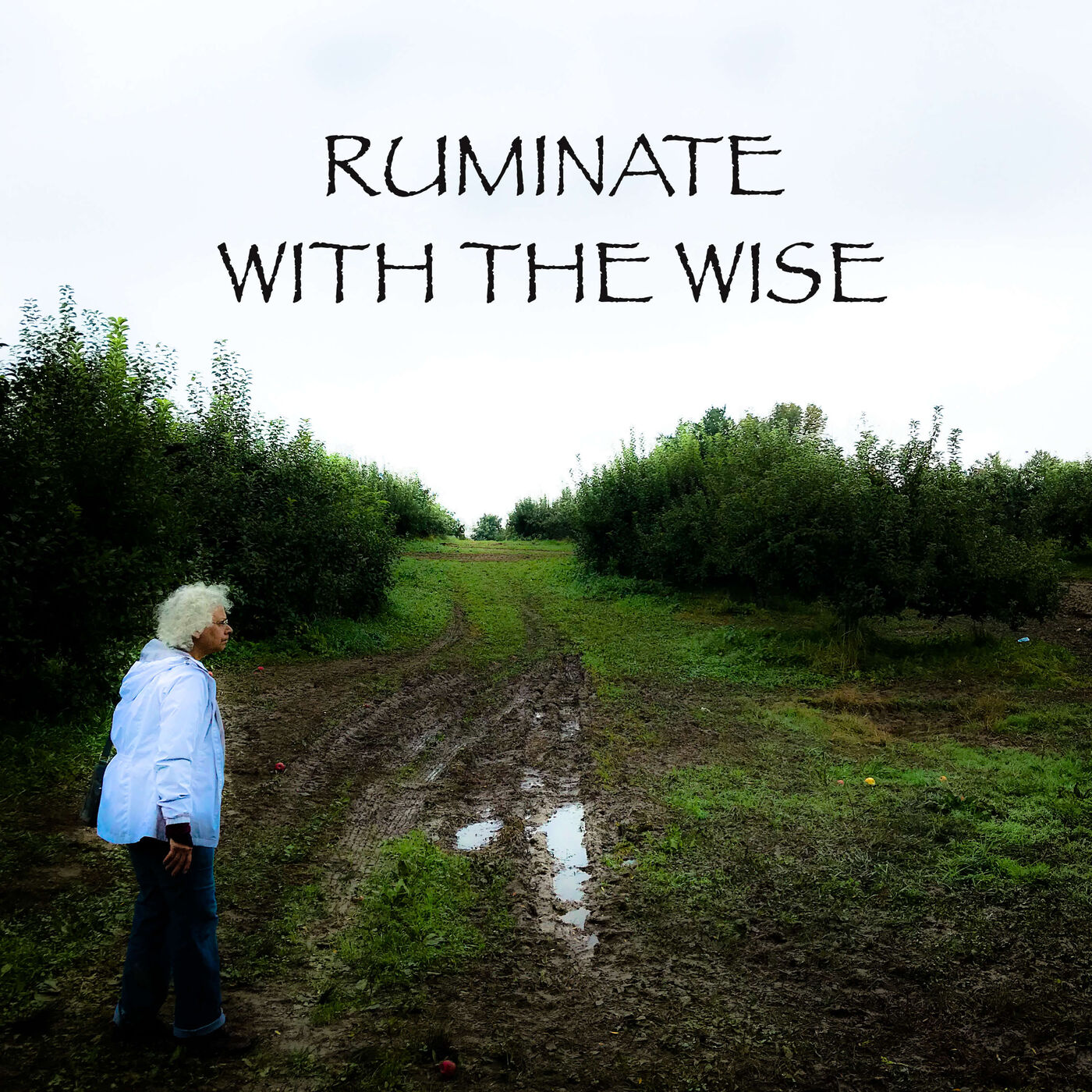 Ruminate with the Wise