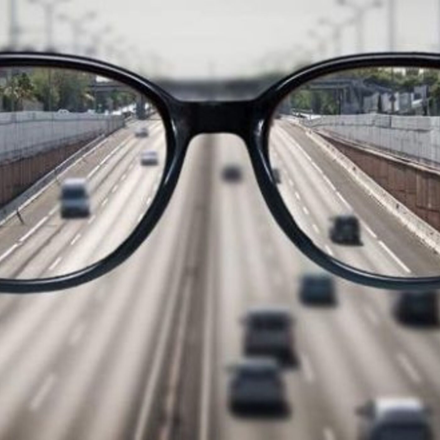 2711 Daily Torah Schmooze