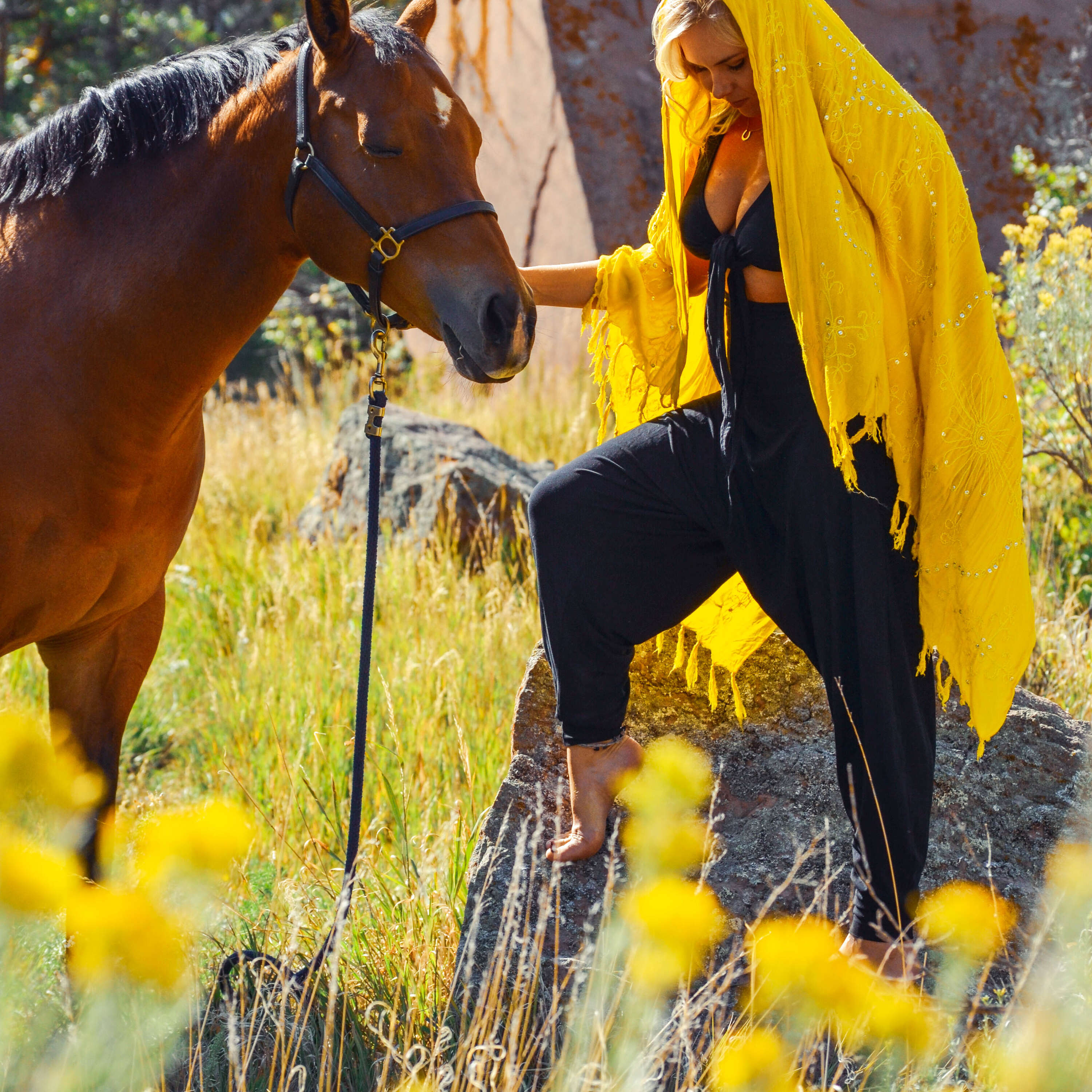 Mindful Equine Ltd